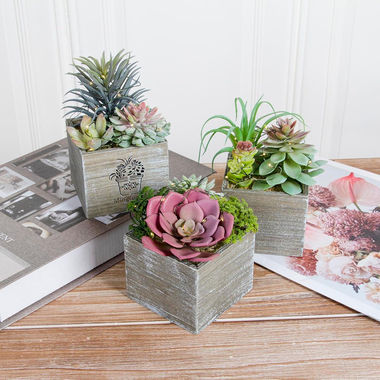 Plantas Suculentas Artificiales con Luces LED Mingfuxin - 3 Unidades