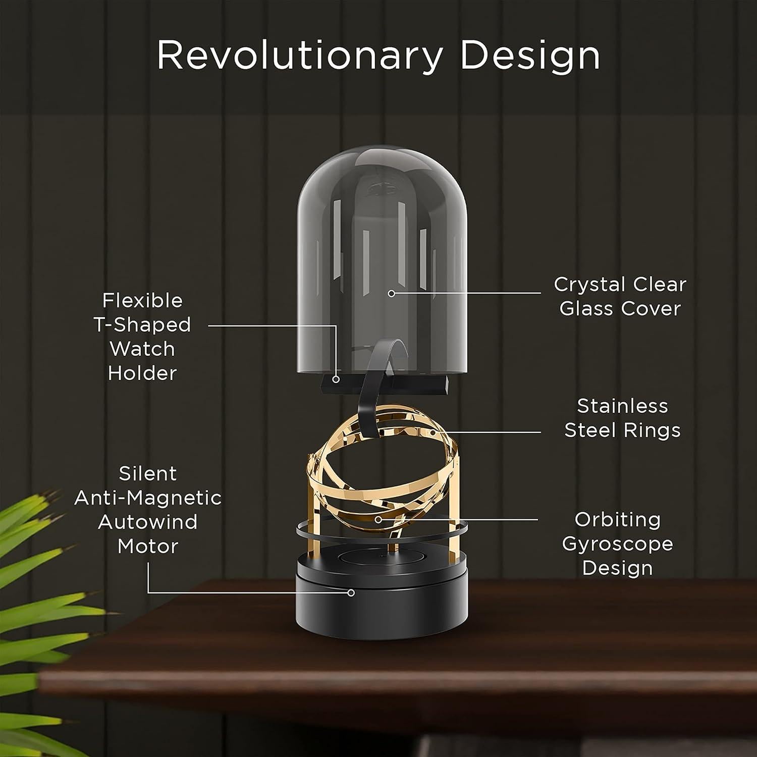 Enrollador de Reloj Automático Aestoria Orbit Oro 1.5kg