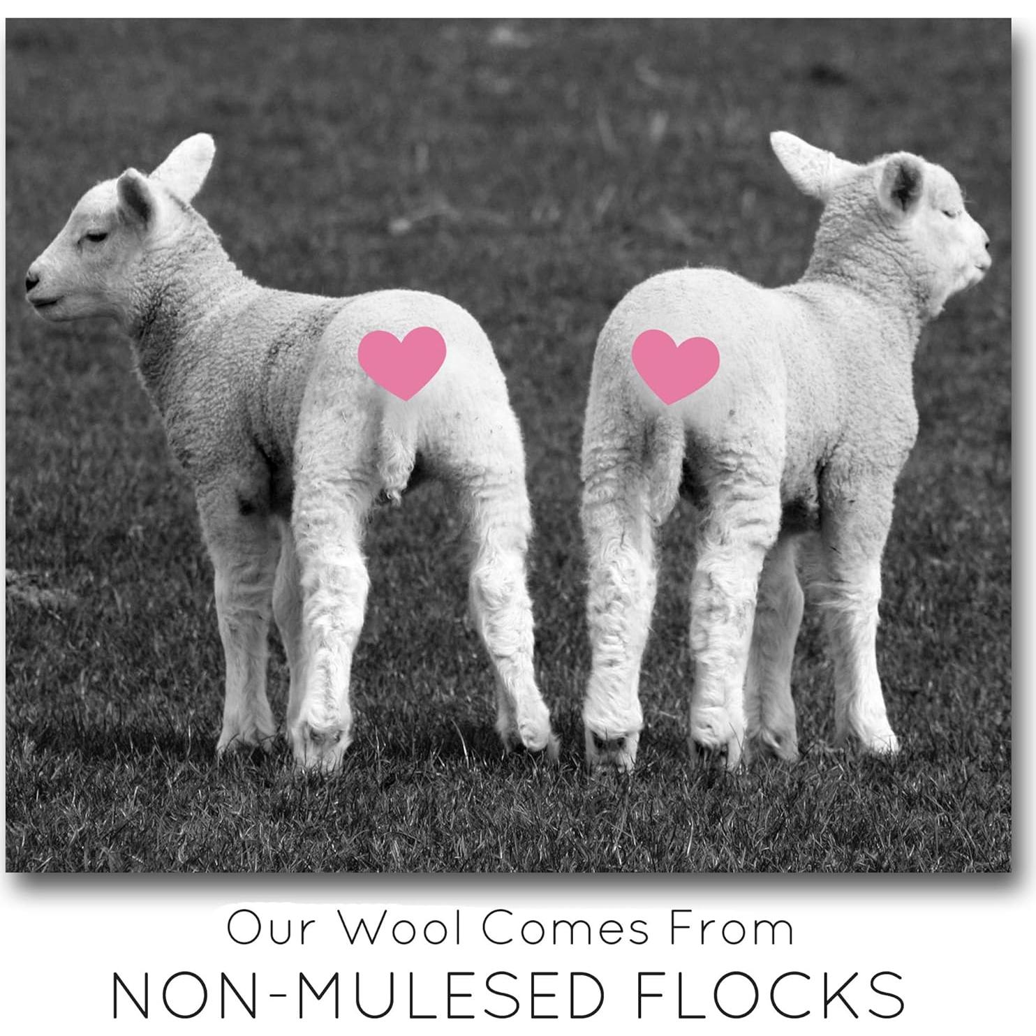 Mezcla de Lana Corriedale 200g para Fieltro - Living Dreams Yarn