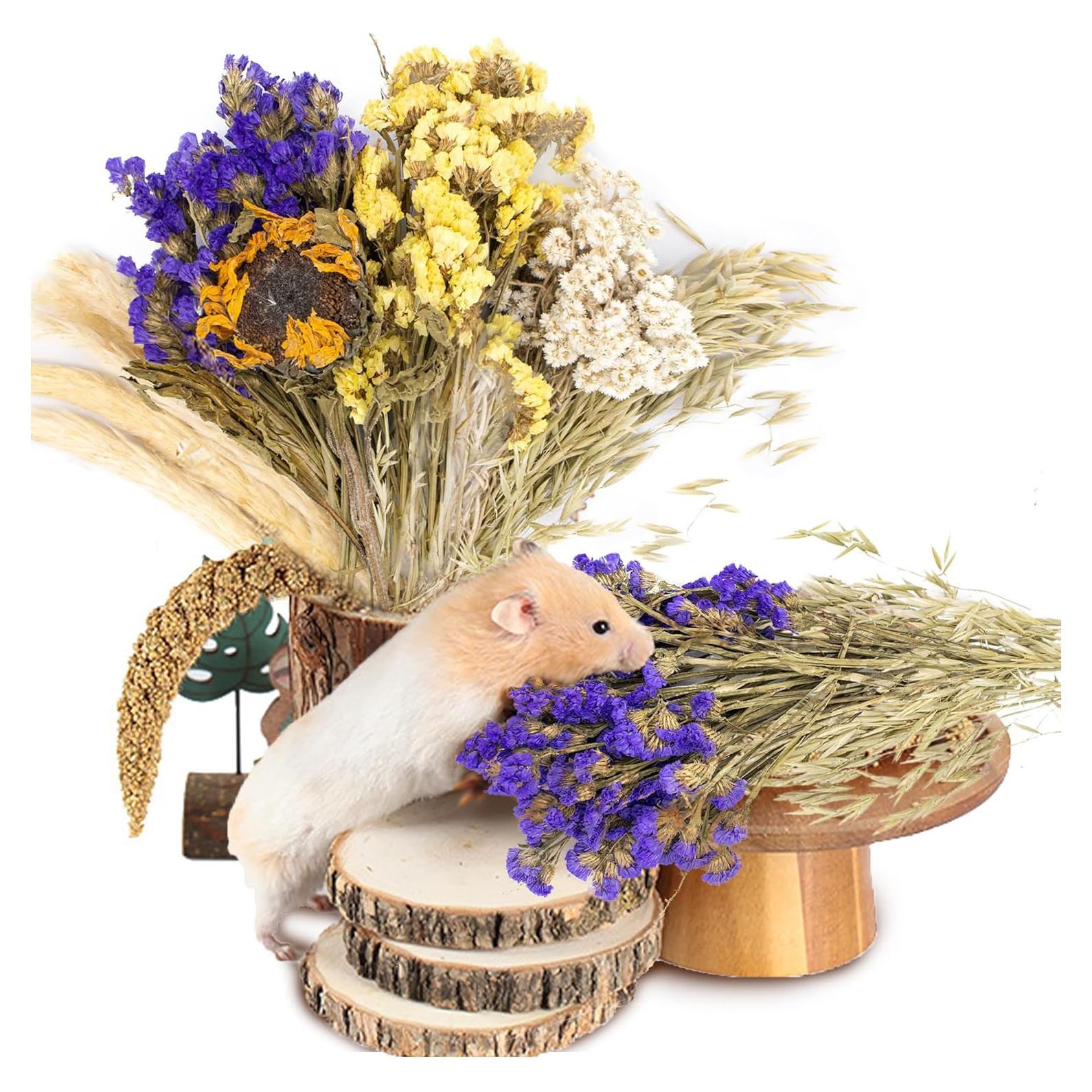 Decoración Natural para Hámsters NICERINC - 10 Piezas de Grano