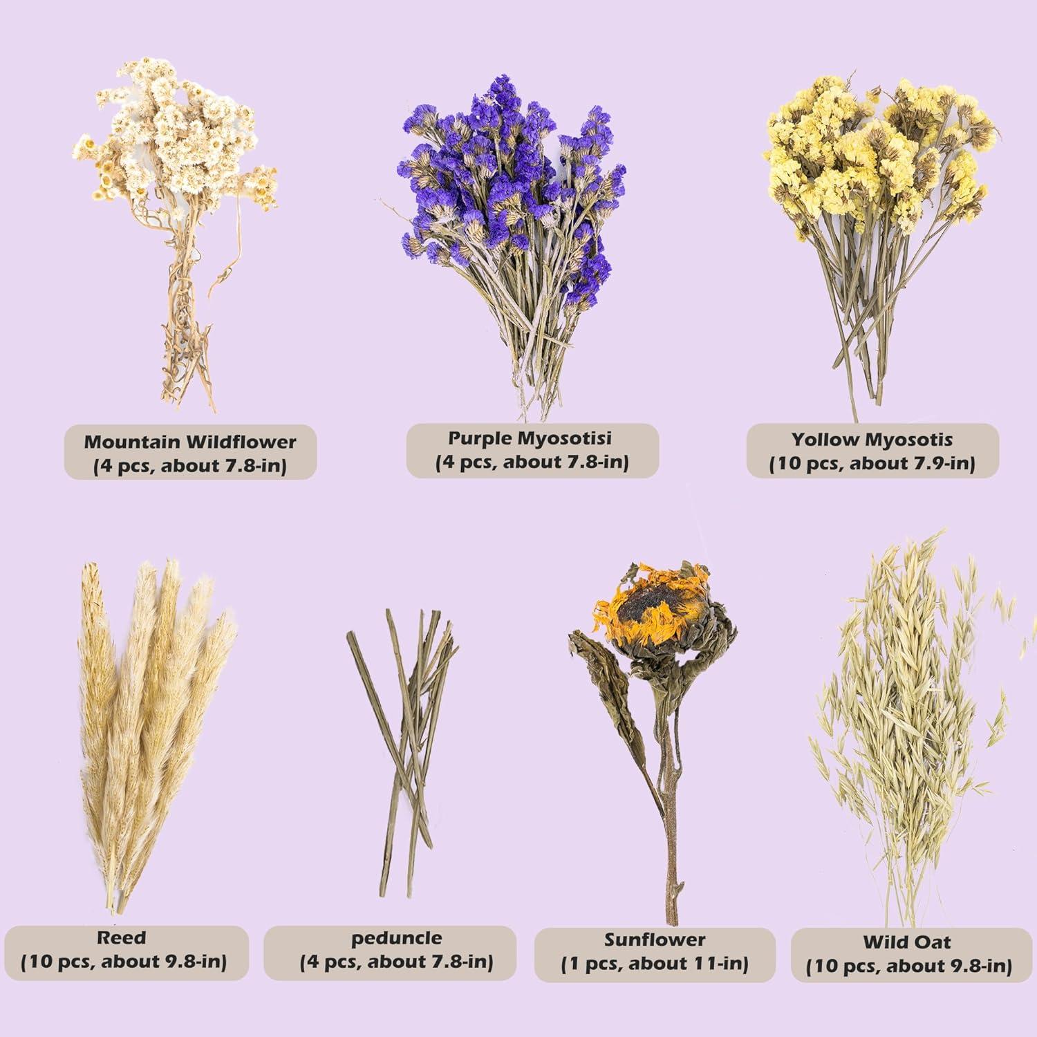 Decoración Natural para Hámsters NICERINC - 10 Piezas de Grano