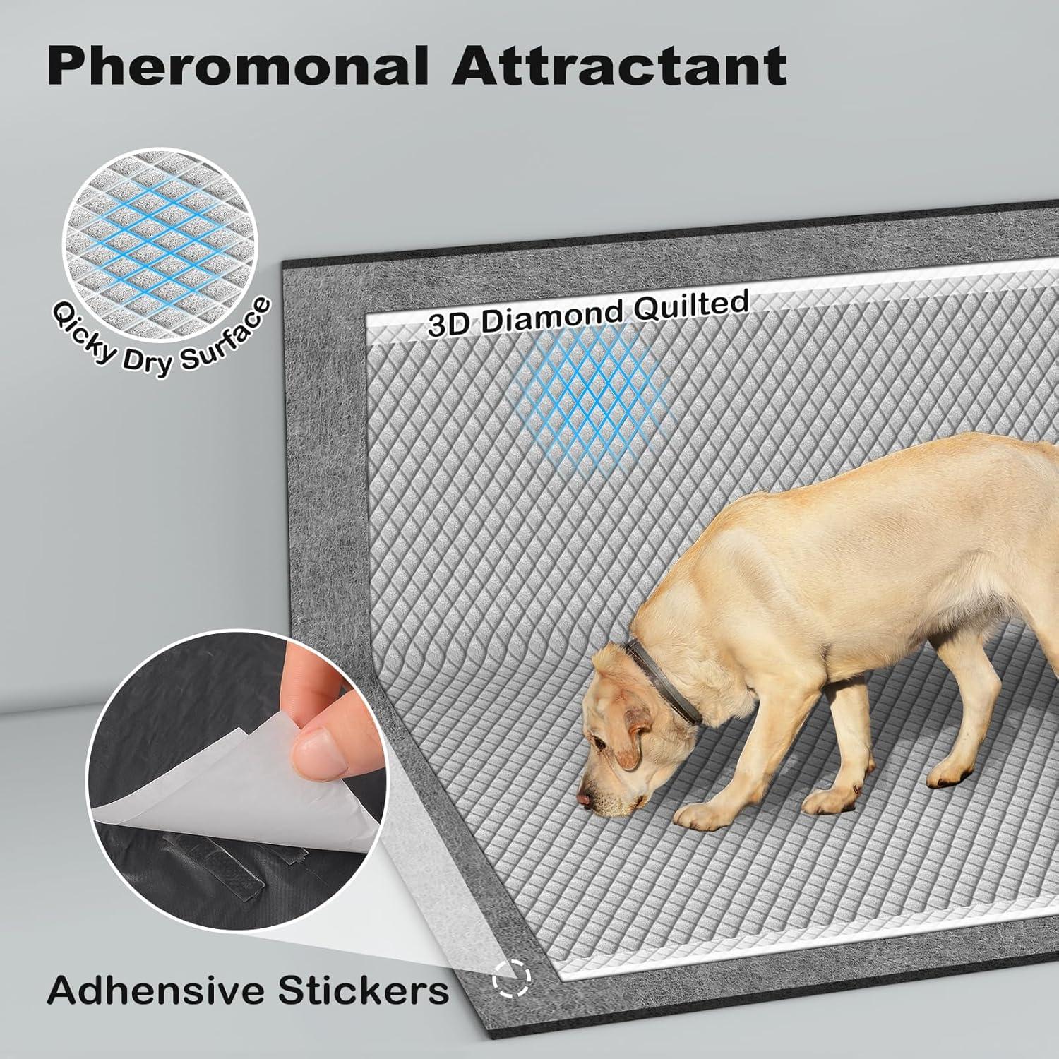 Almohadillas para Perros MIZOK 58x61cm 50 Unidades Carbón Activo