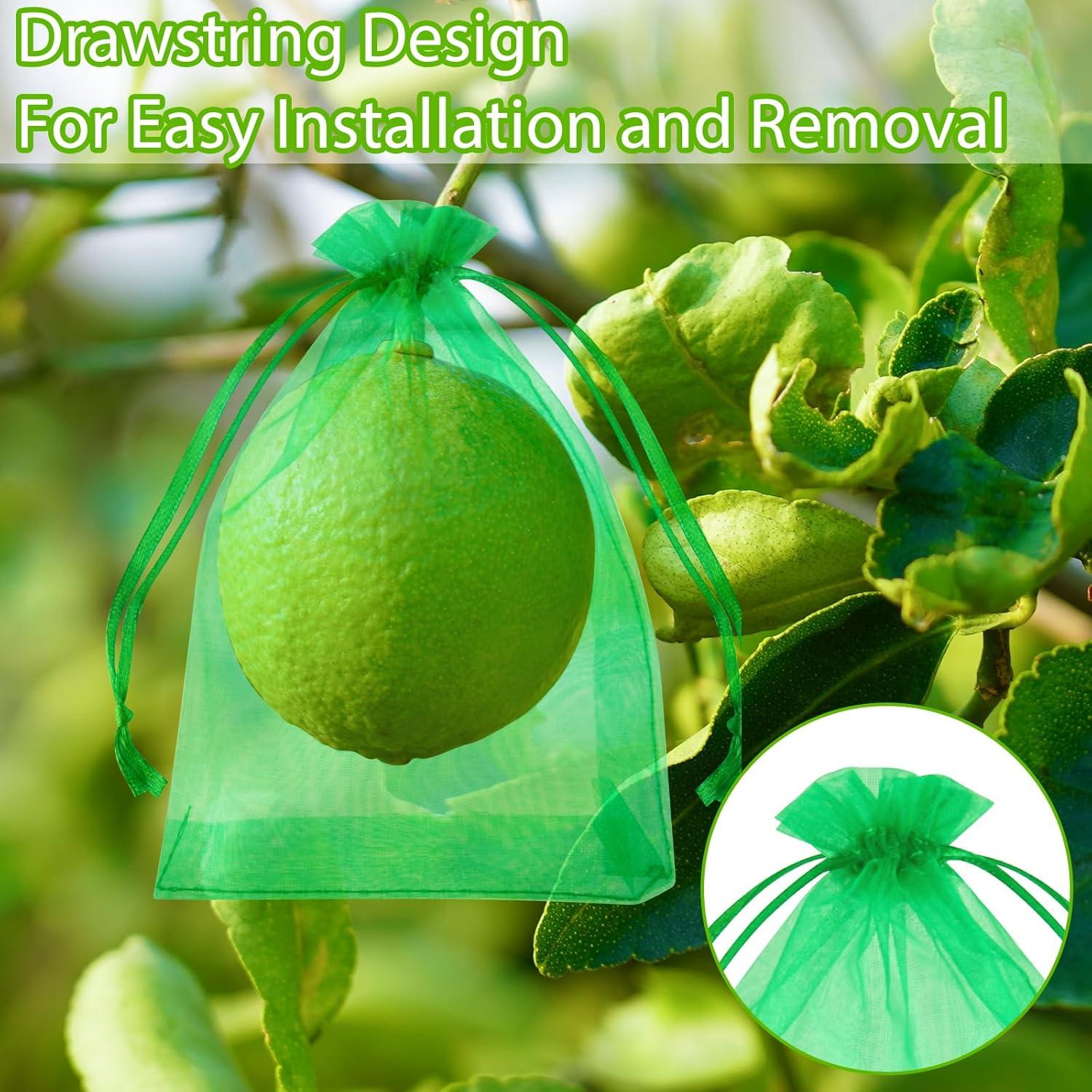 Bolsas de Protección para Frutas Morcheiong 60 Pcs 15x20 cm