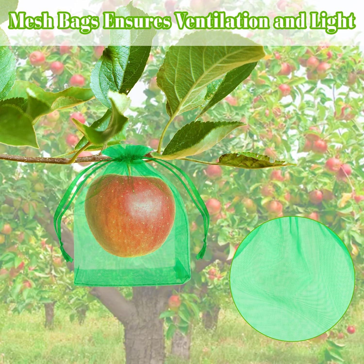 Bolsas de Protección para Frutas Morcheiong 60 Pcs 15x20 cm