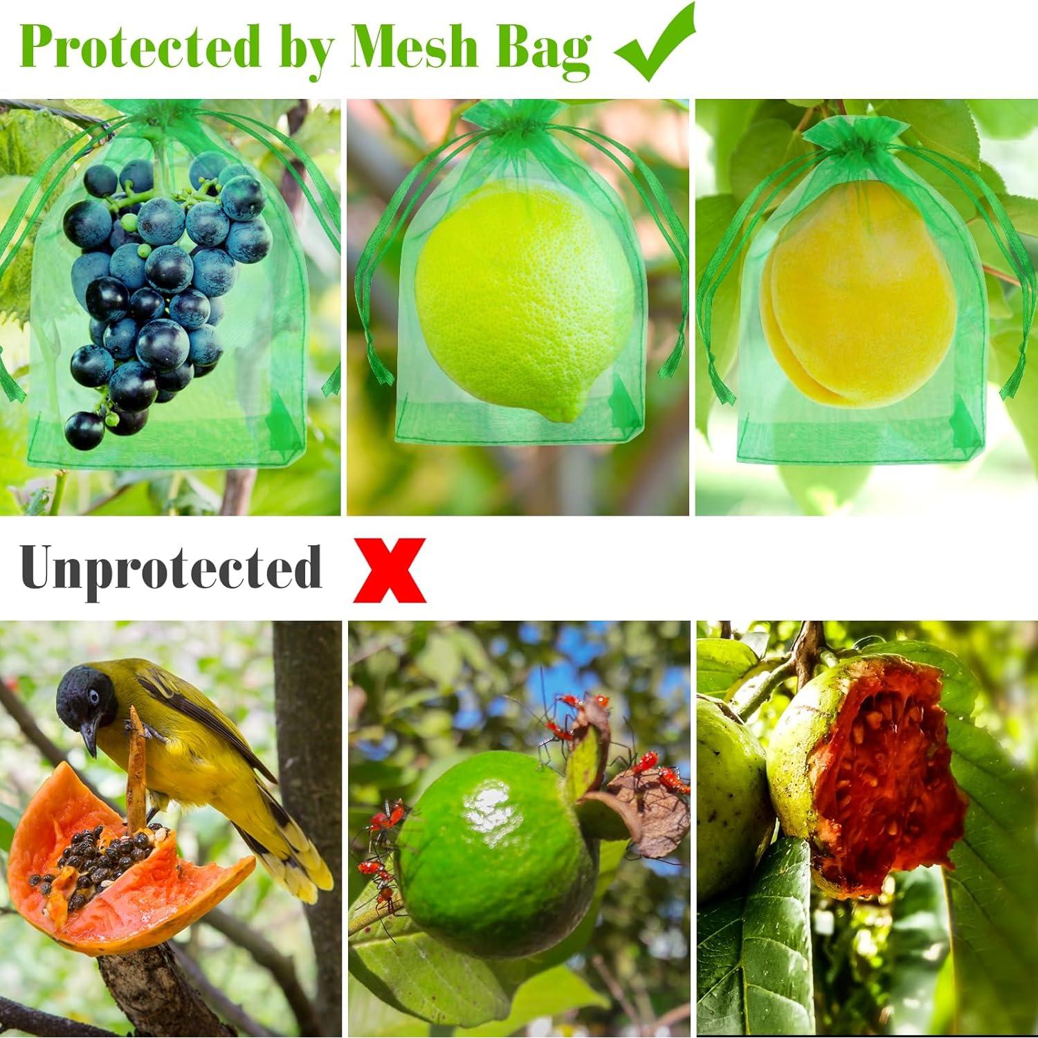Bolsas de Protección para Frutas Morcheiong 60 Pcs 15x20 cm