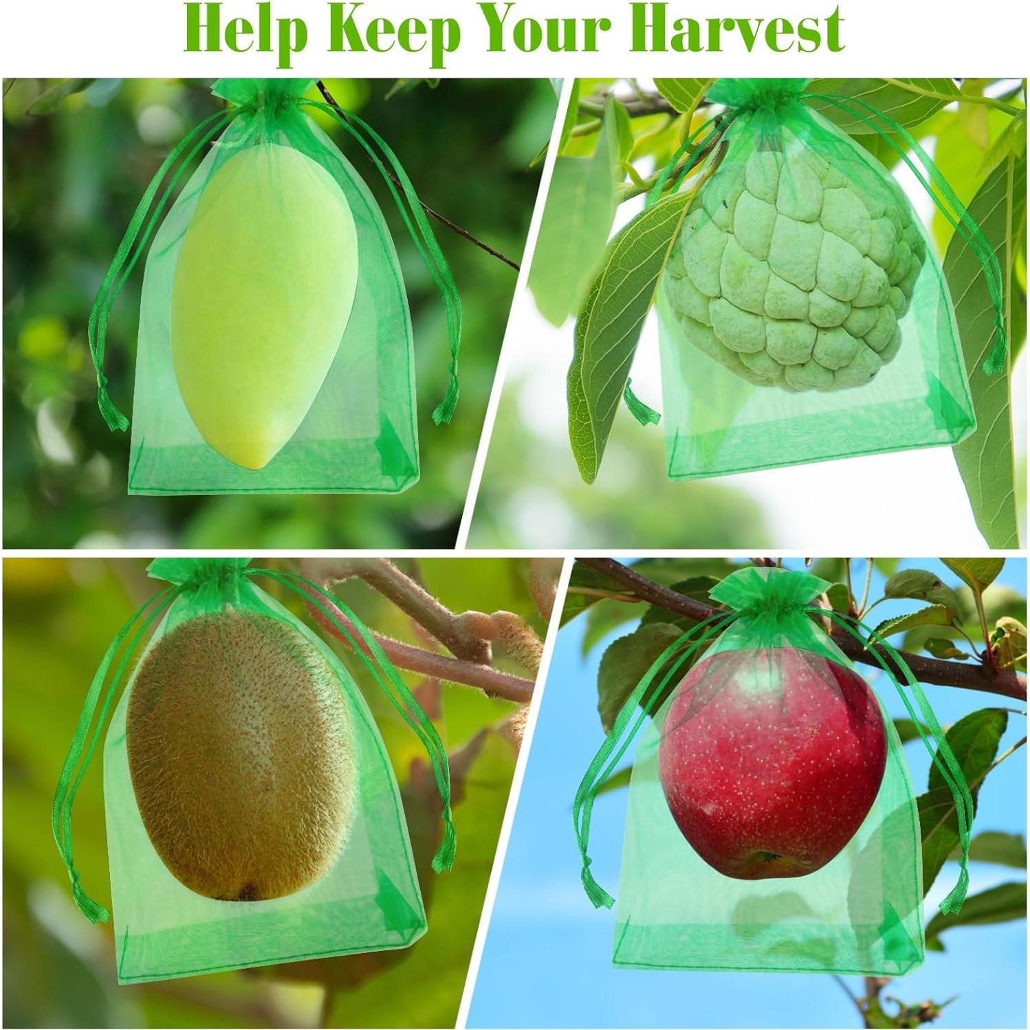 Bolsas de Protección para Frutas Morcheiong 60 Pcs 15x20 cm