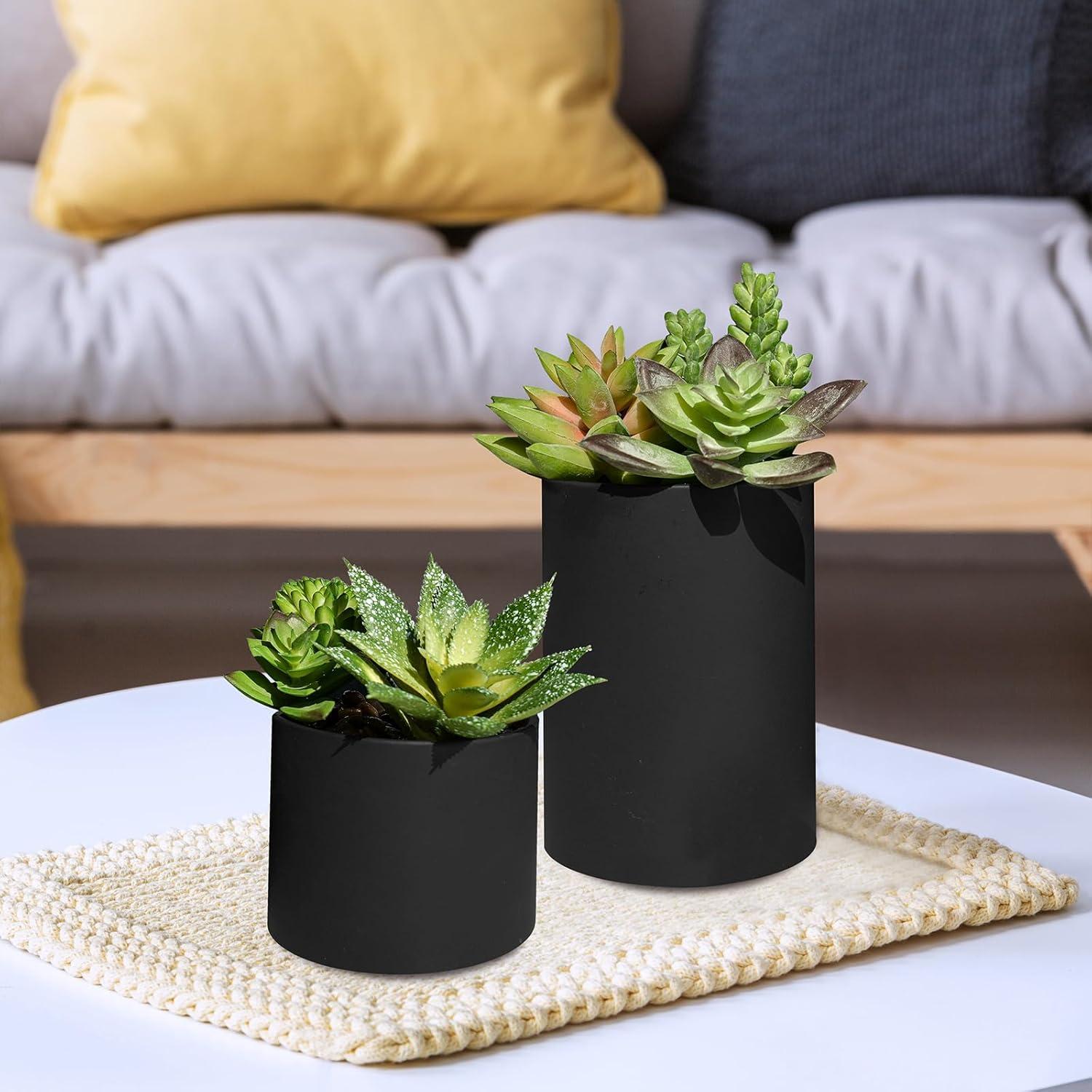 Juego de 3 Suculentas Artificiales Winlyn en Macetas Negras