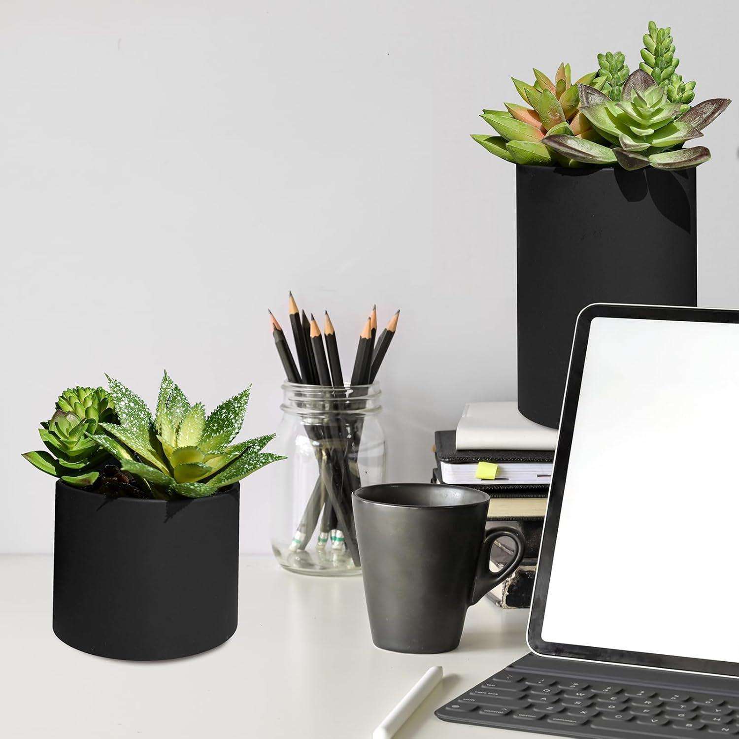 Juego de 3 Suculentas Artificiales Winlyn en Macetas Negras