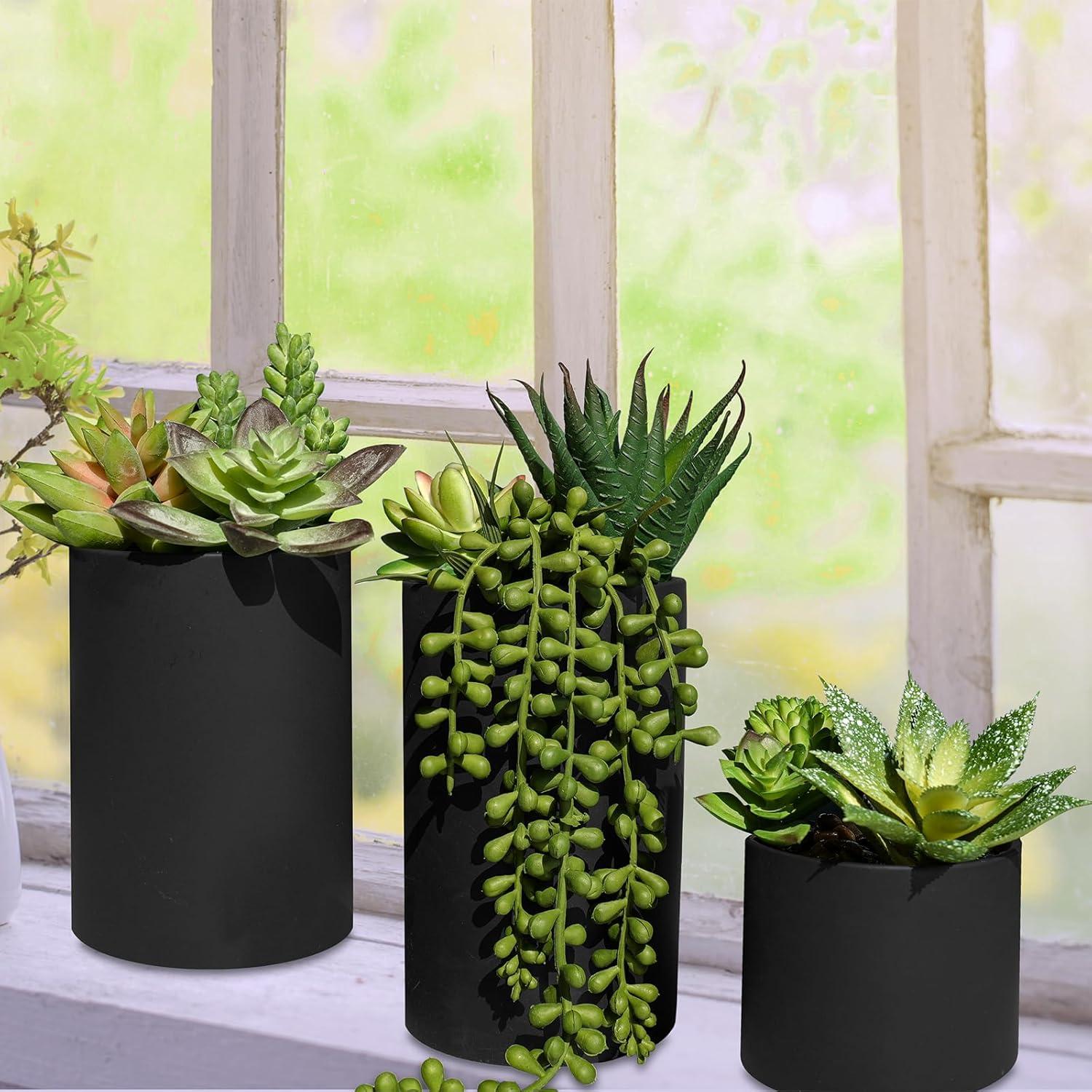 Juego de 3 Suculentas Artificiales Winlyn en Macetas Negras