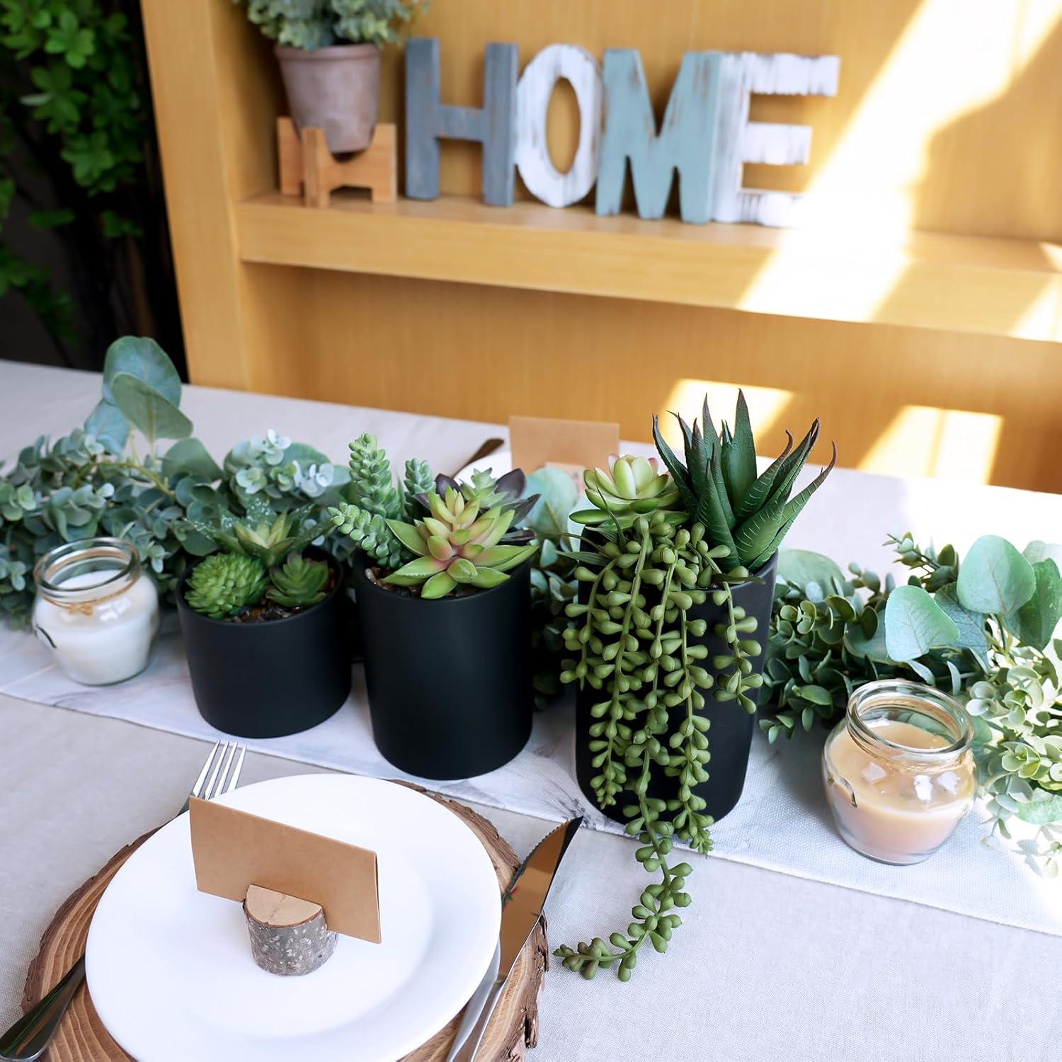 Juego de 3 Suculentas Artificiales Winlyn en Macetas Negras