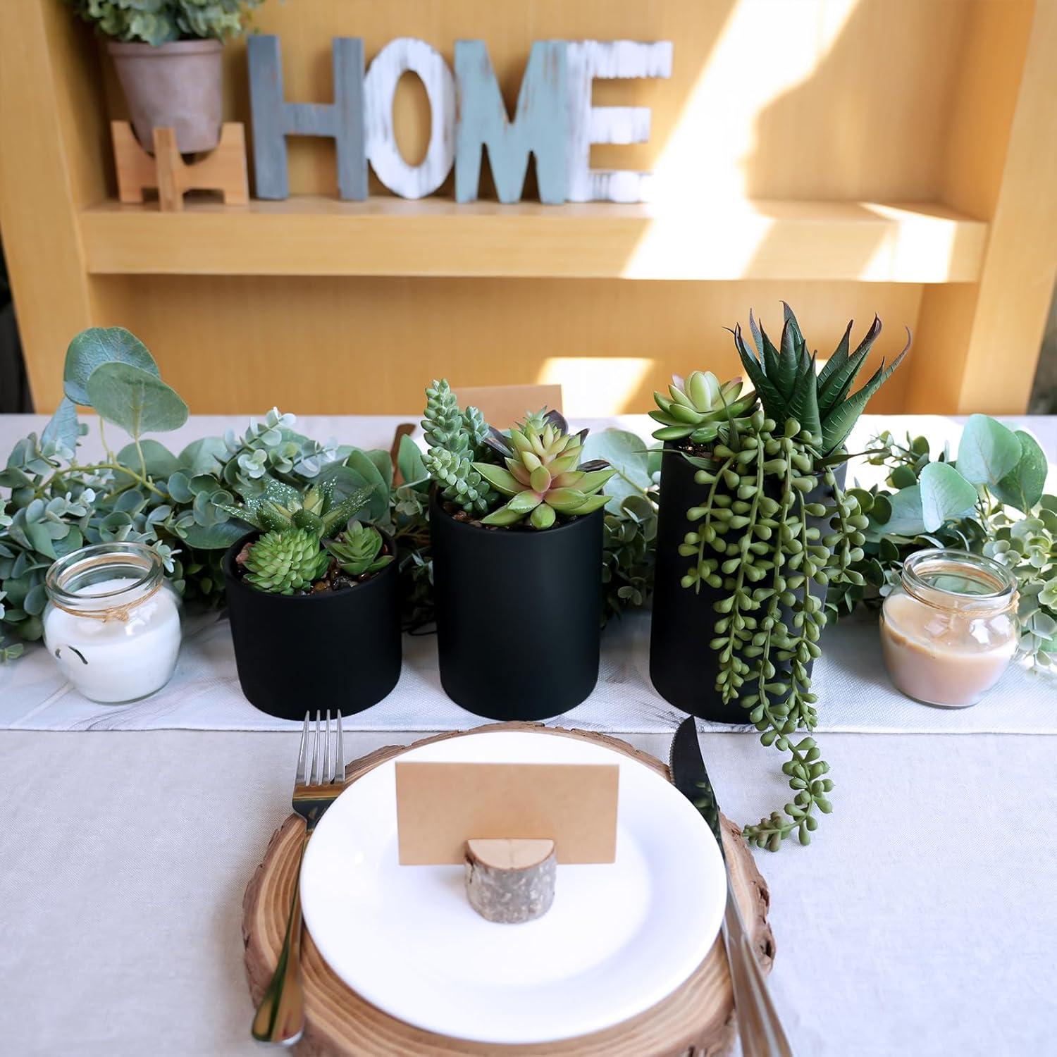 Juego de 3 Suculentas Artificiales Winlyn en Macetas Negras