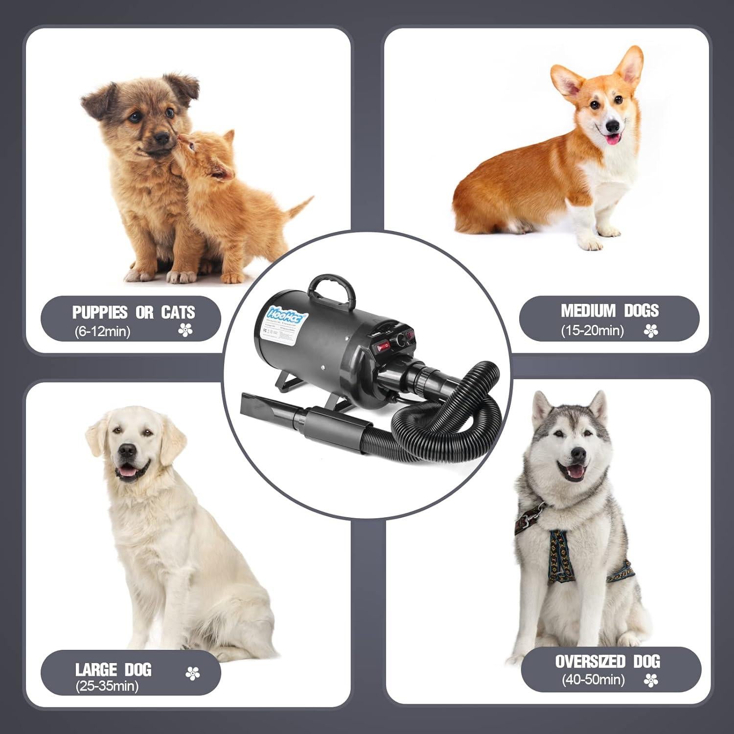 Secador de Perros HooHcc 4.5HP Ajustable 600W-3400W Negro