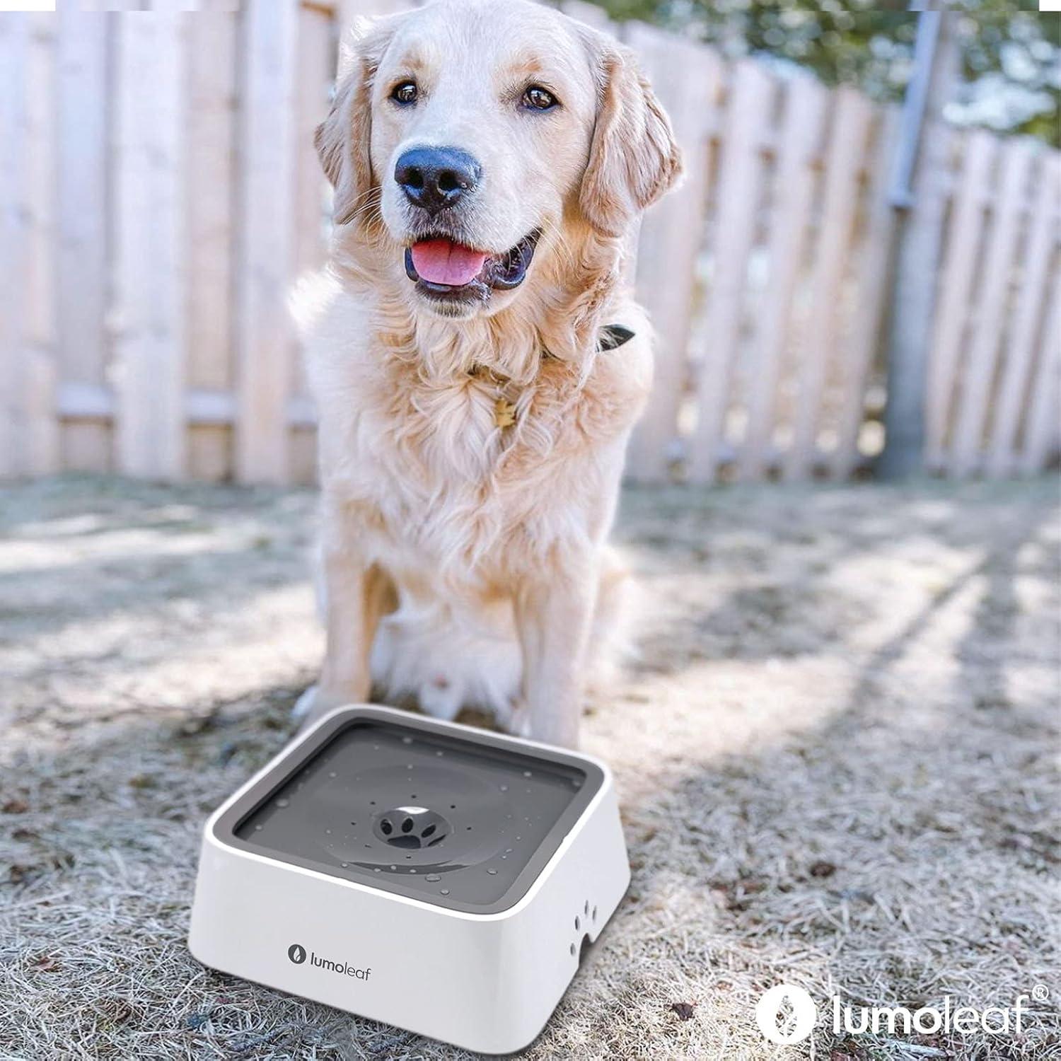 Cuenco de Agua Sin Derrames LumoLeaf 2L para Perros Gris