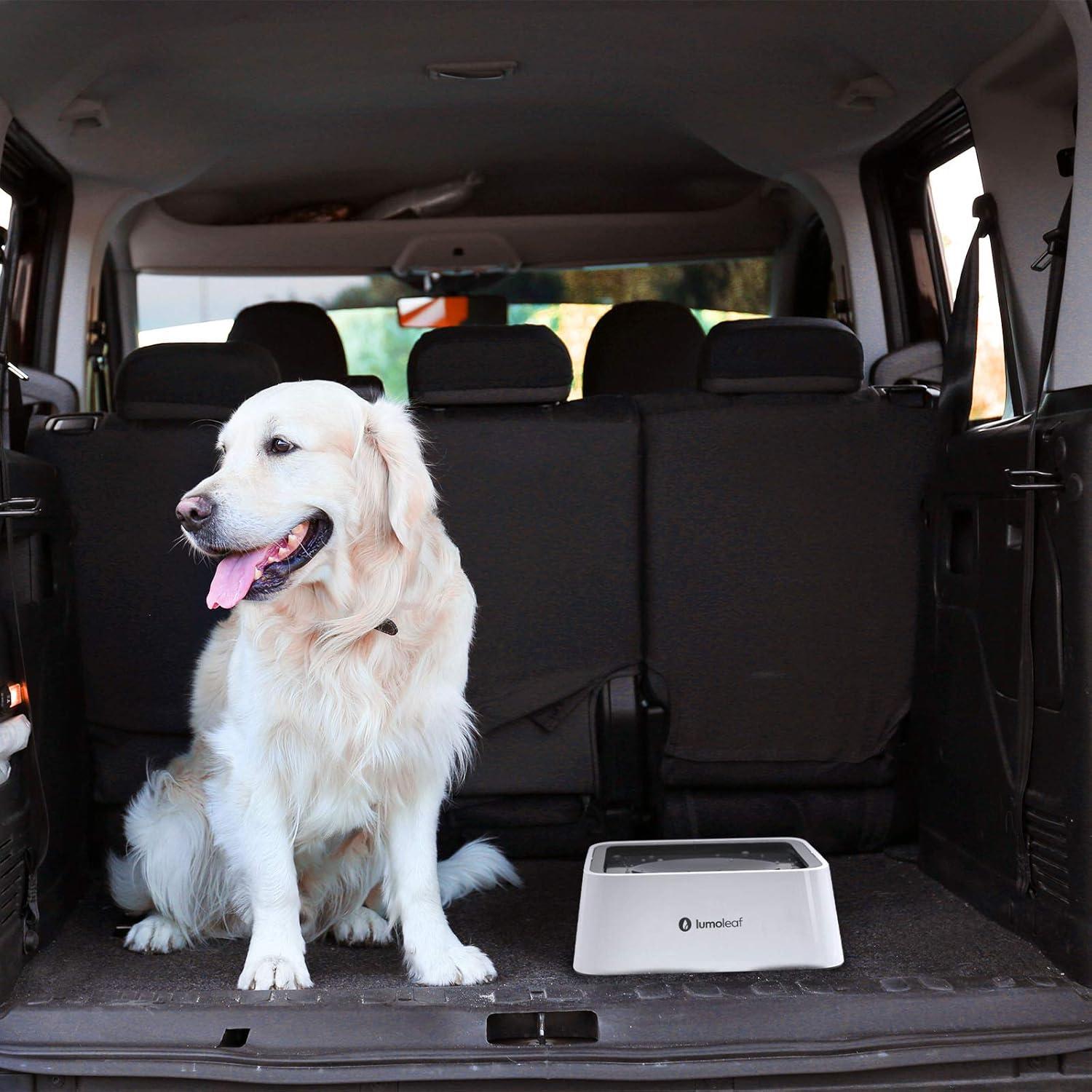 Cuenco de Agua Sin Derrames LumoLeaf 2L para Perros Gris