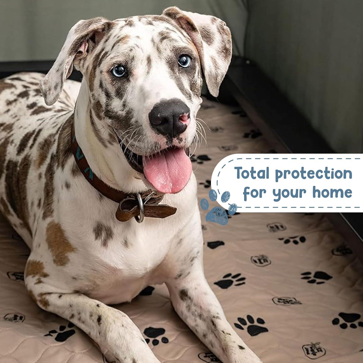 Almohadillas Reutilizables para Perros EZwhelp 42x50cm 2 Pzas