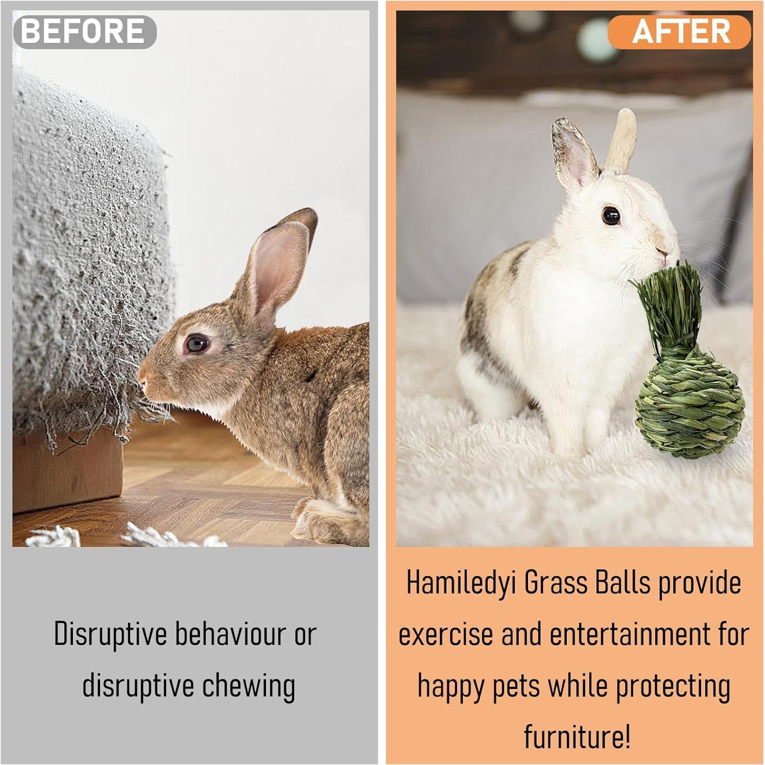 Bola de Masticar Natural Hamiledyi para Conejos 4PCS