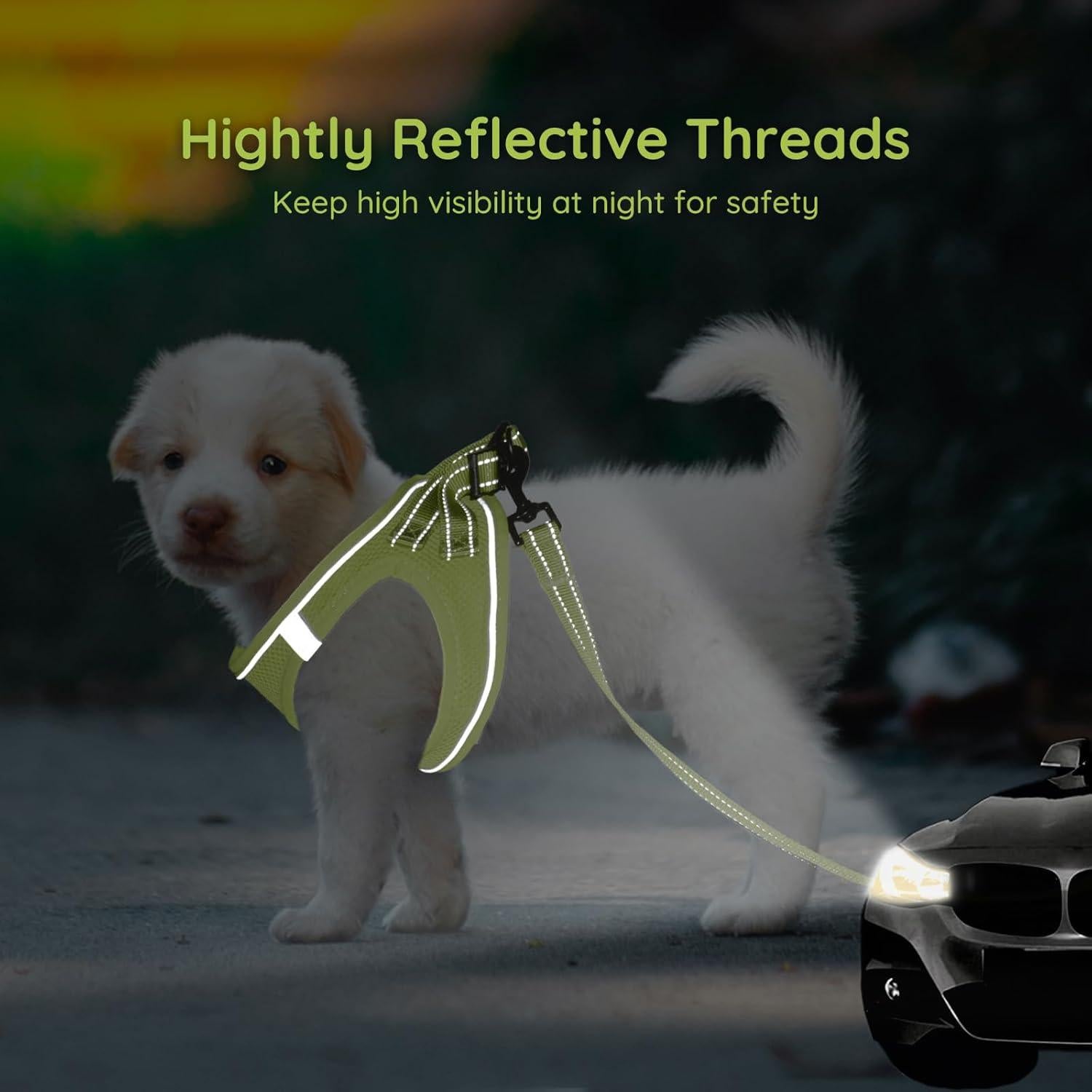 Arnés para Perros Pequeños Bella & Pal XXS Verde Aguacate