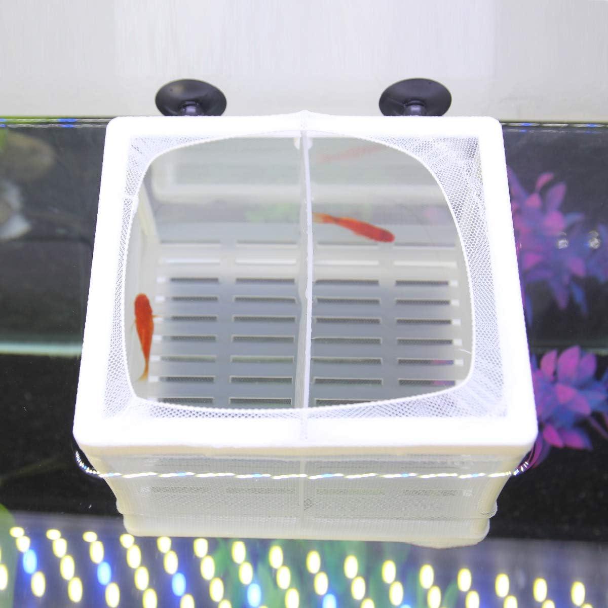 Caja de cría de peces Senzeal Incubadora Alevines 16x14cm