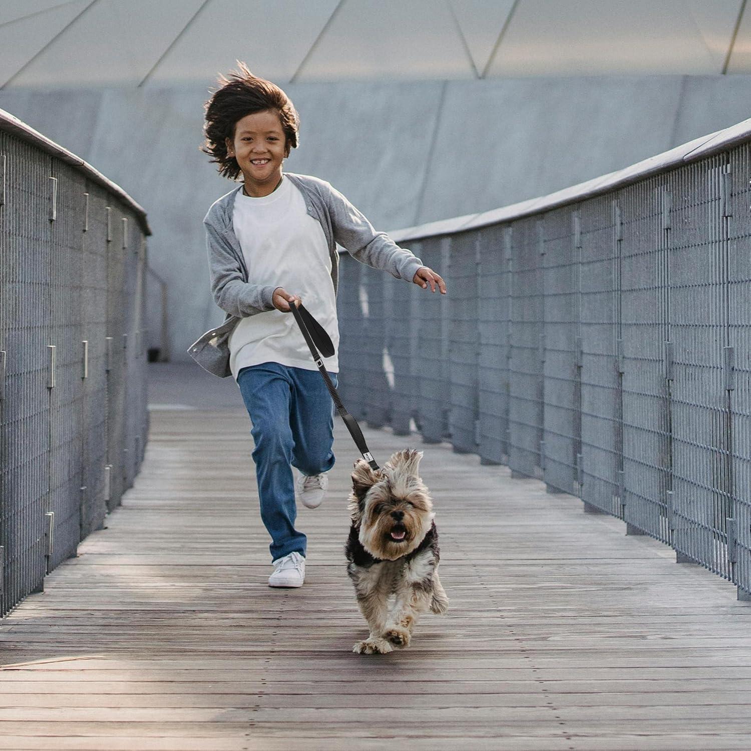 Correa Táctica para Perros S-ETOVUS 1.2m Doble Mango Reflectante