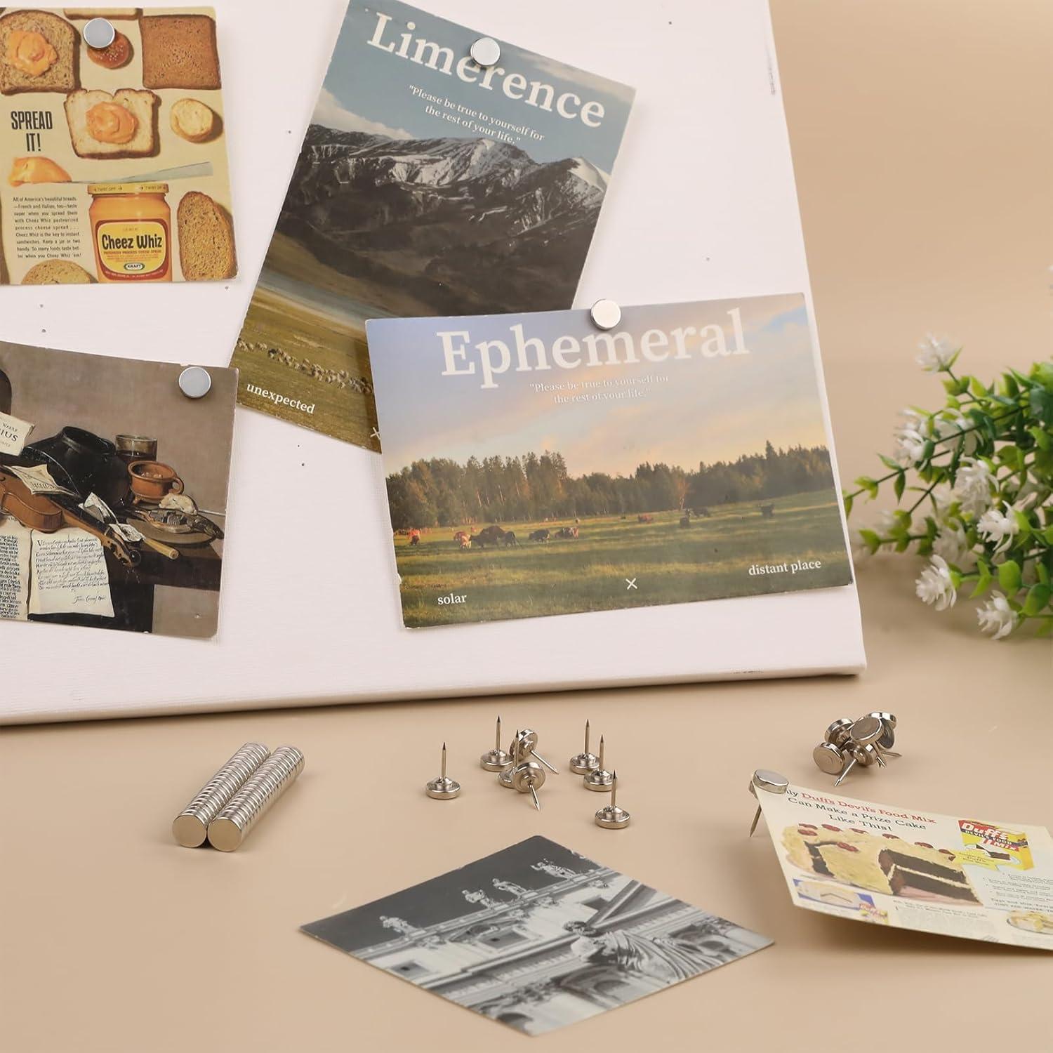 Paquete de 15 Chinchetas Magnéticas BEST CHOICE MAGNETS