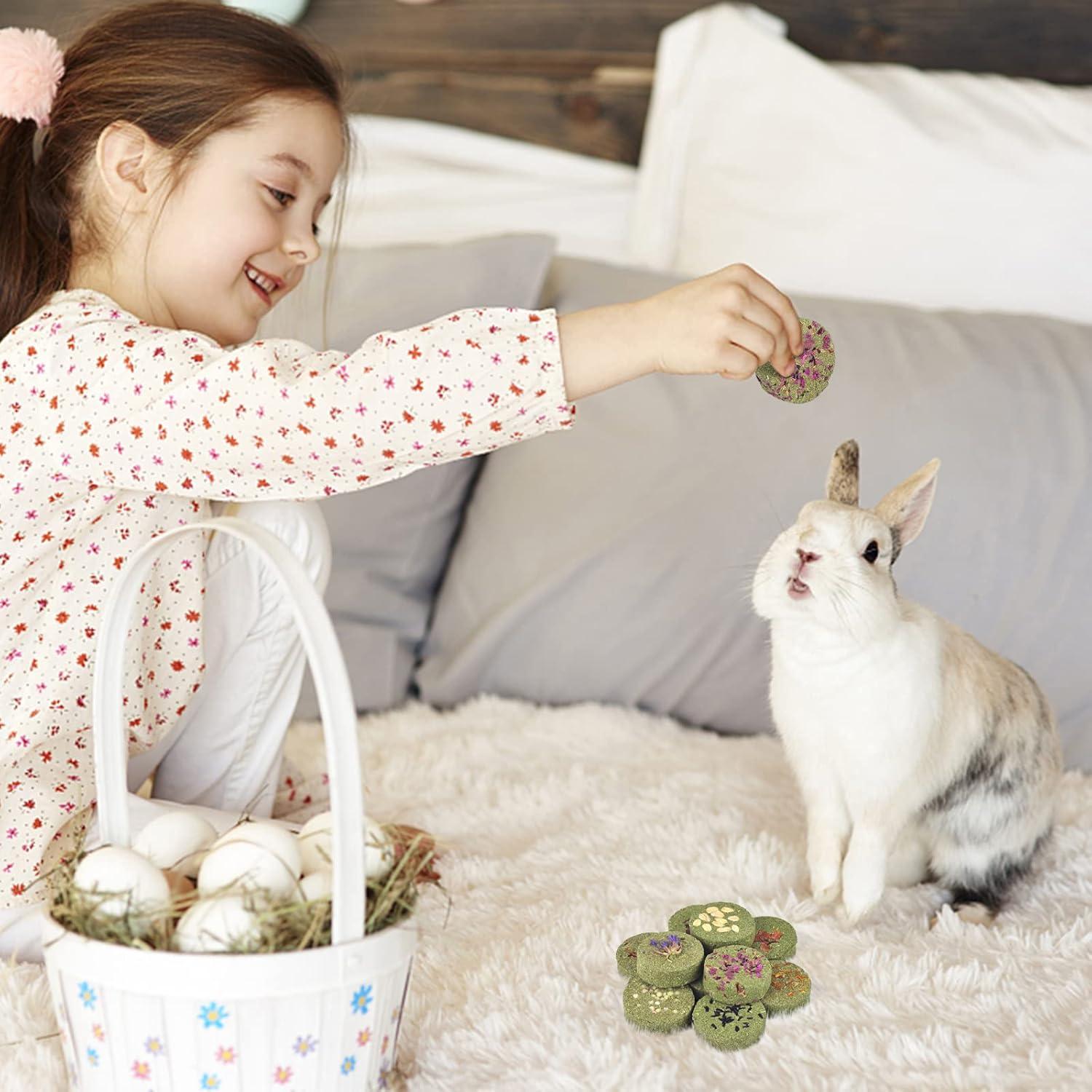 Bloques de Masticar Heno Timothy ERKOON 100% Comestibles 10 Unidades