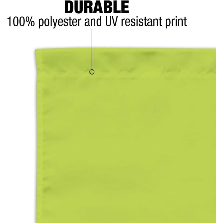 Bandera de Jardín Pinky y el Cerebro 48x33cm Graphics & More