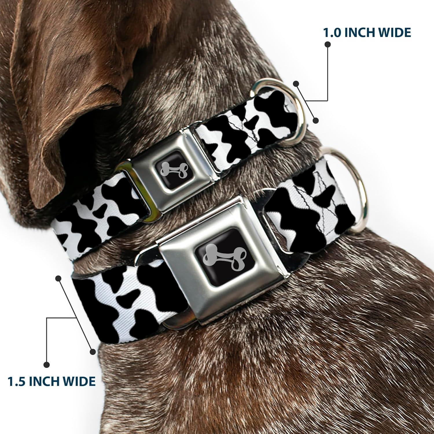 Collar para Perros Buckle-Down 24.1-33 cm con Hebilla de Seguridad
