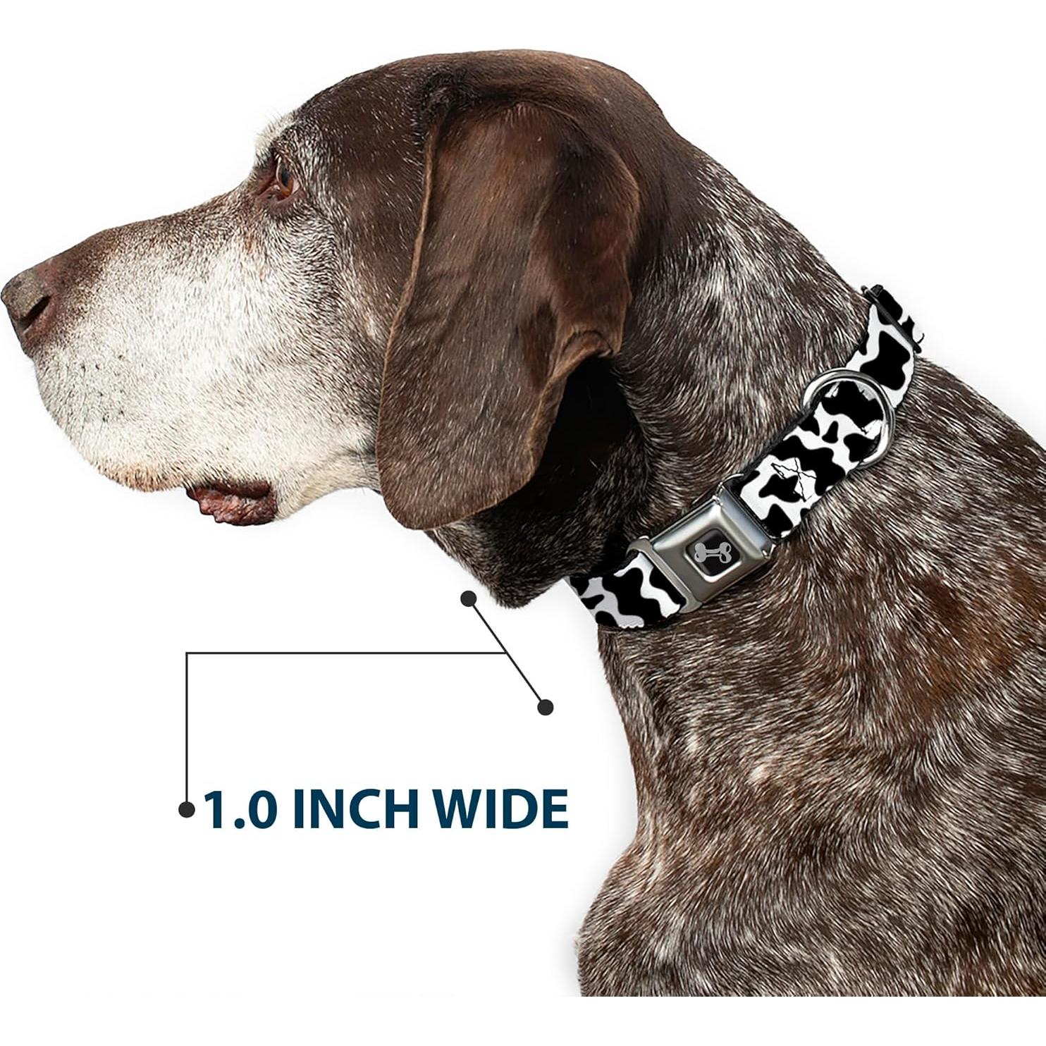 Collar para Perros Buckle-Down 24.1-33 cm con Hebilla de Seguridad