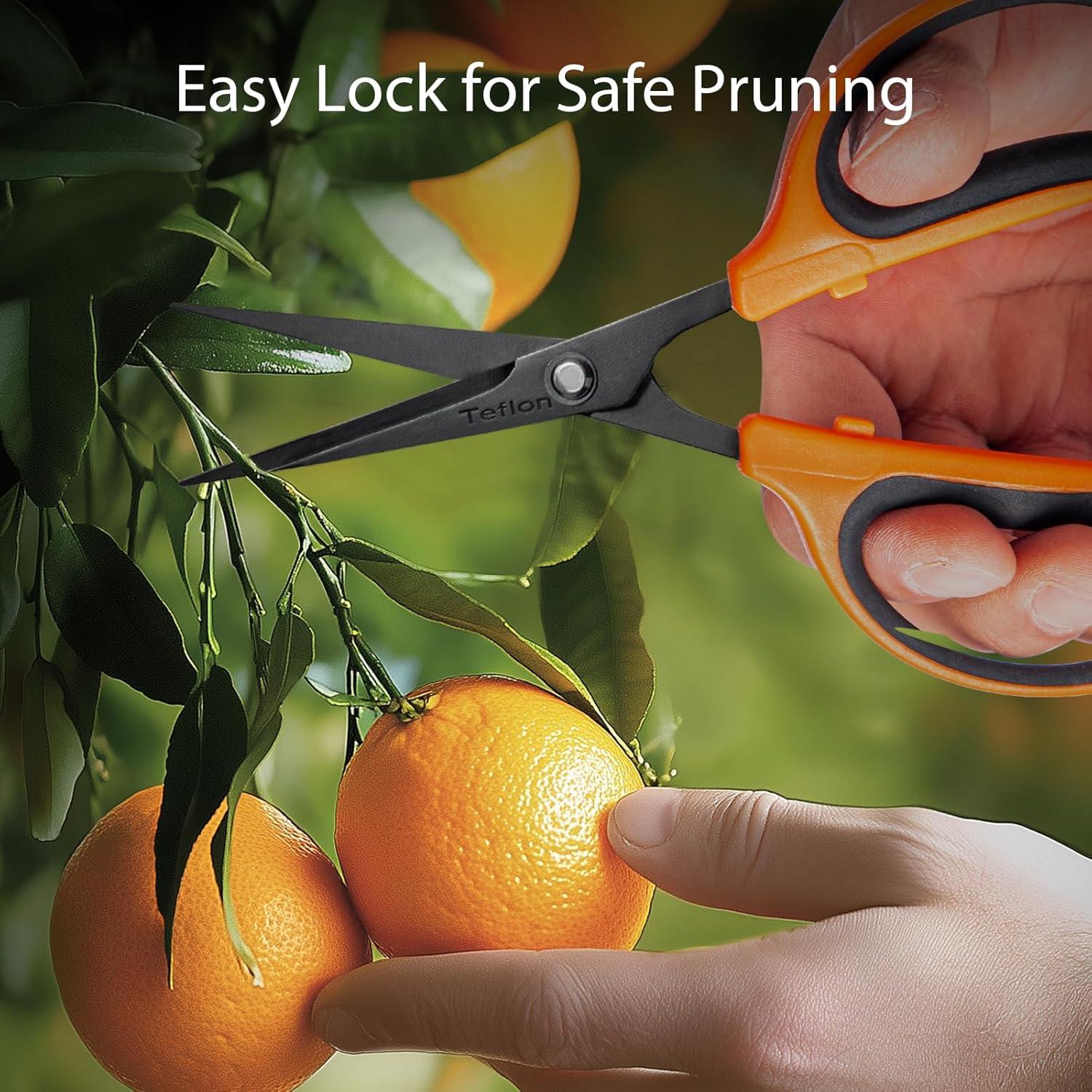 Tijeras de Poda GROWNEER 18g con Cuchillas de Teflón 60mm