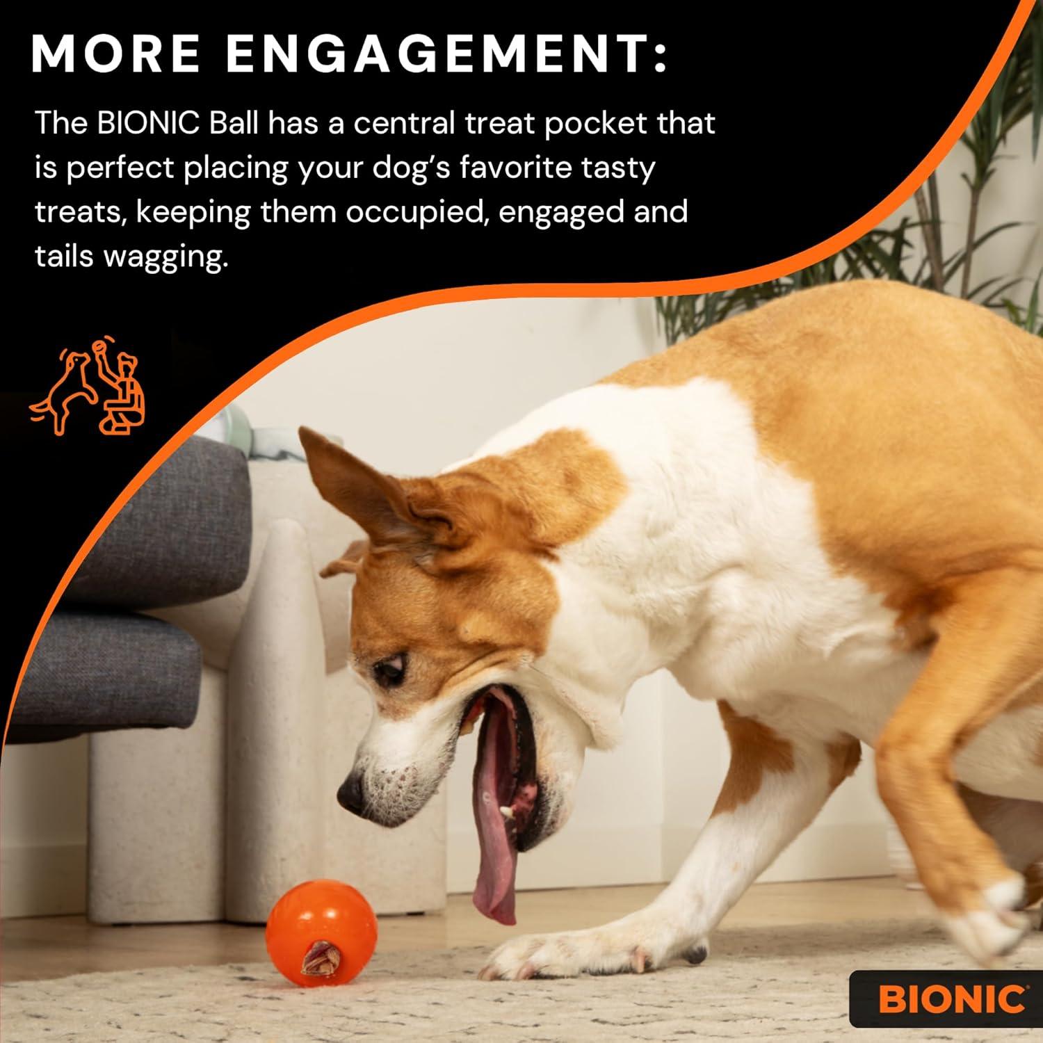 BOLSA BIONIC Grande para Perros - Juguete Interactivo Duradero