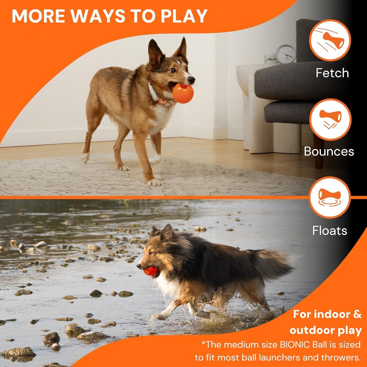 BOLSA BIONIC Grande para Perros - Juguete Interactivo Duradero