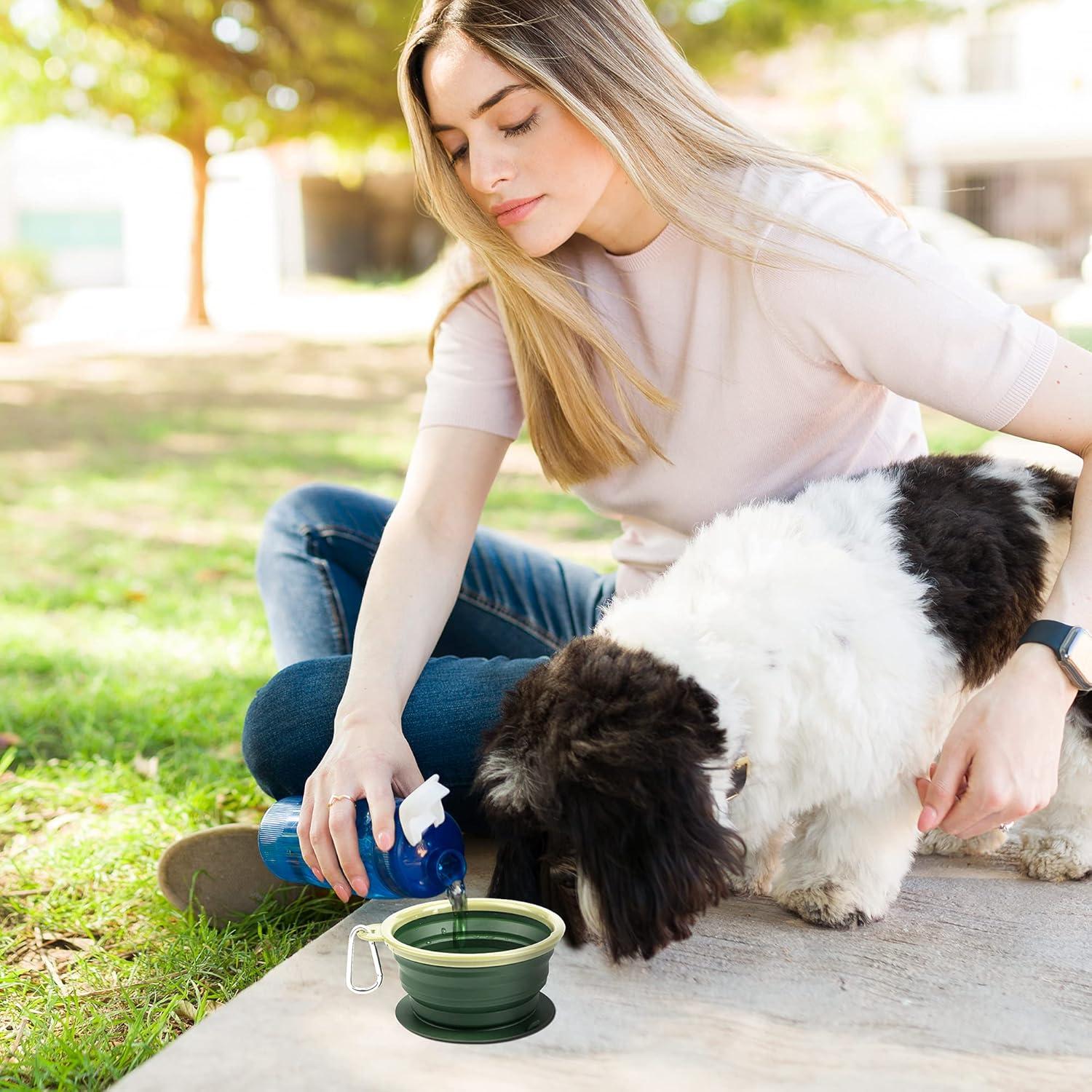 Cuenco Plegable para Perro BARWO 350mL Silicona Antideslizante