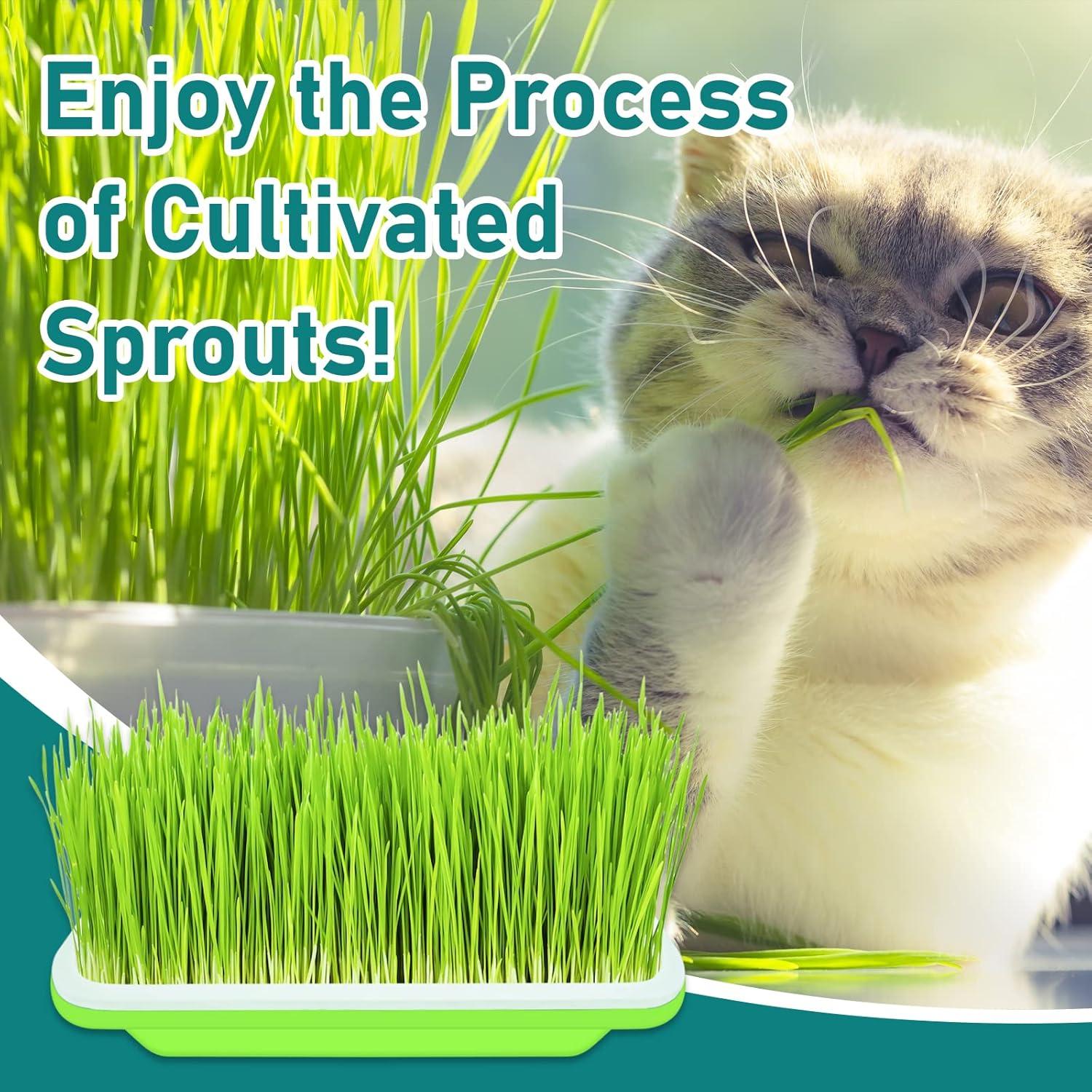 Bandejas Germinadoras Legigo 10 Paquetes Sin Tapas 33x25cm