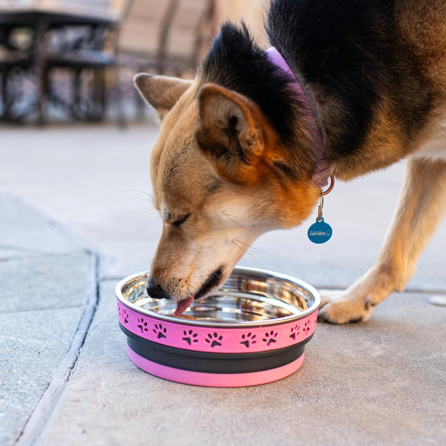 Tazón para Perros Loving Pets Corsa Acero Inoxidable 14cm Rosa