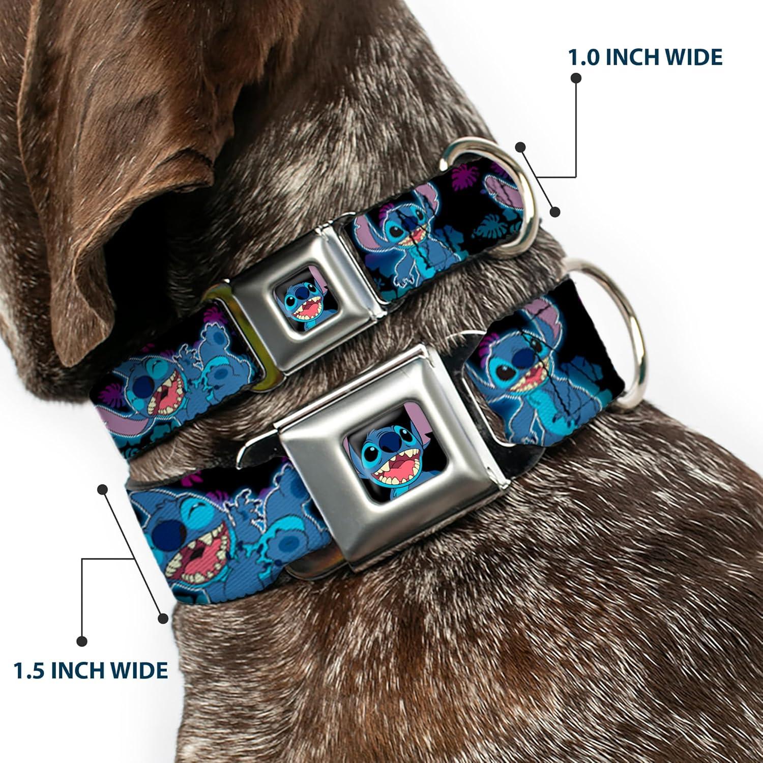 Collar para Perros Disney Buckle-Down 24.1-33 cm 2.5 cm Ancho