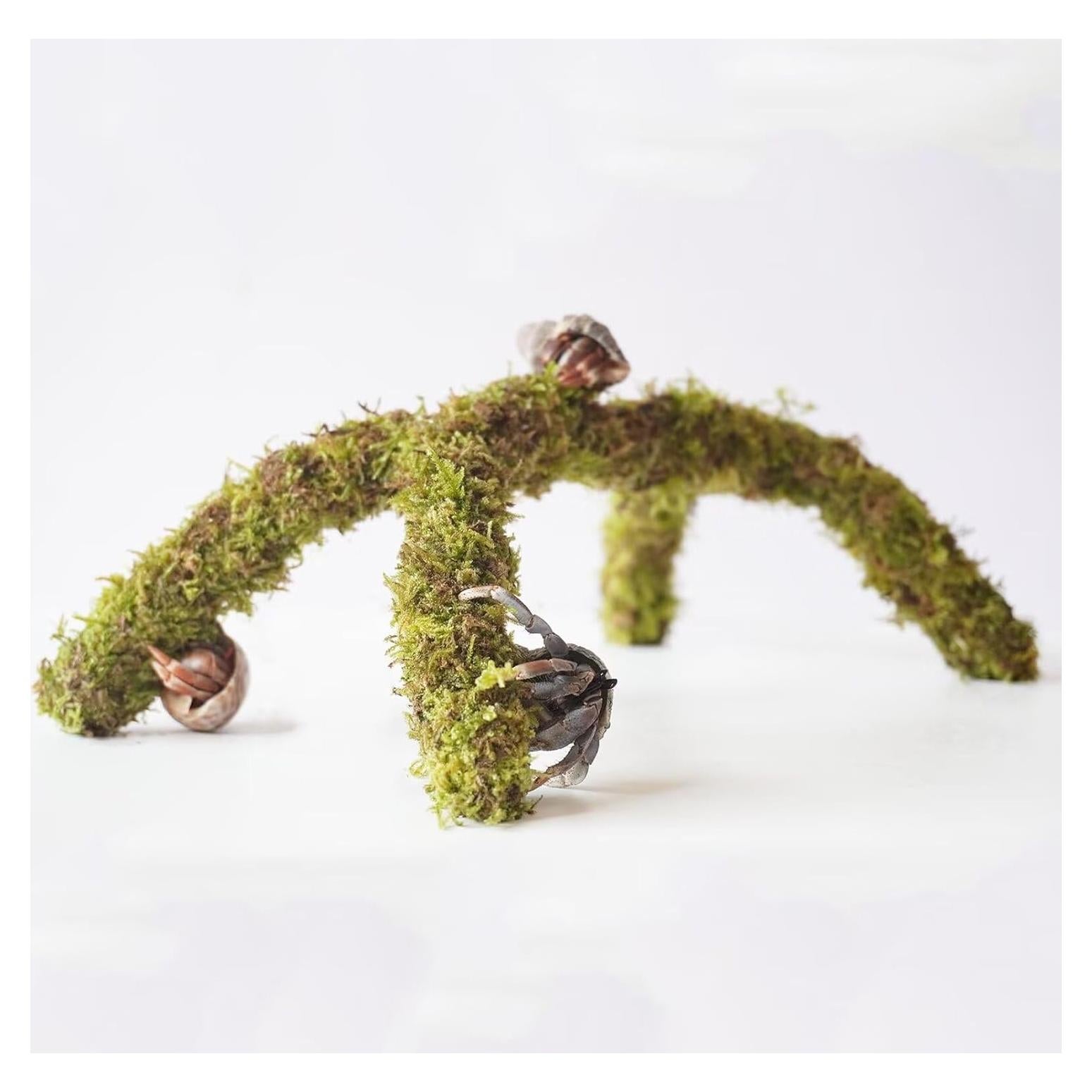 Poste de Musgo para Cangrejos Ermitaños Begeterday 30.48 cm