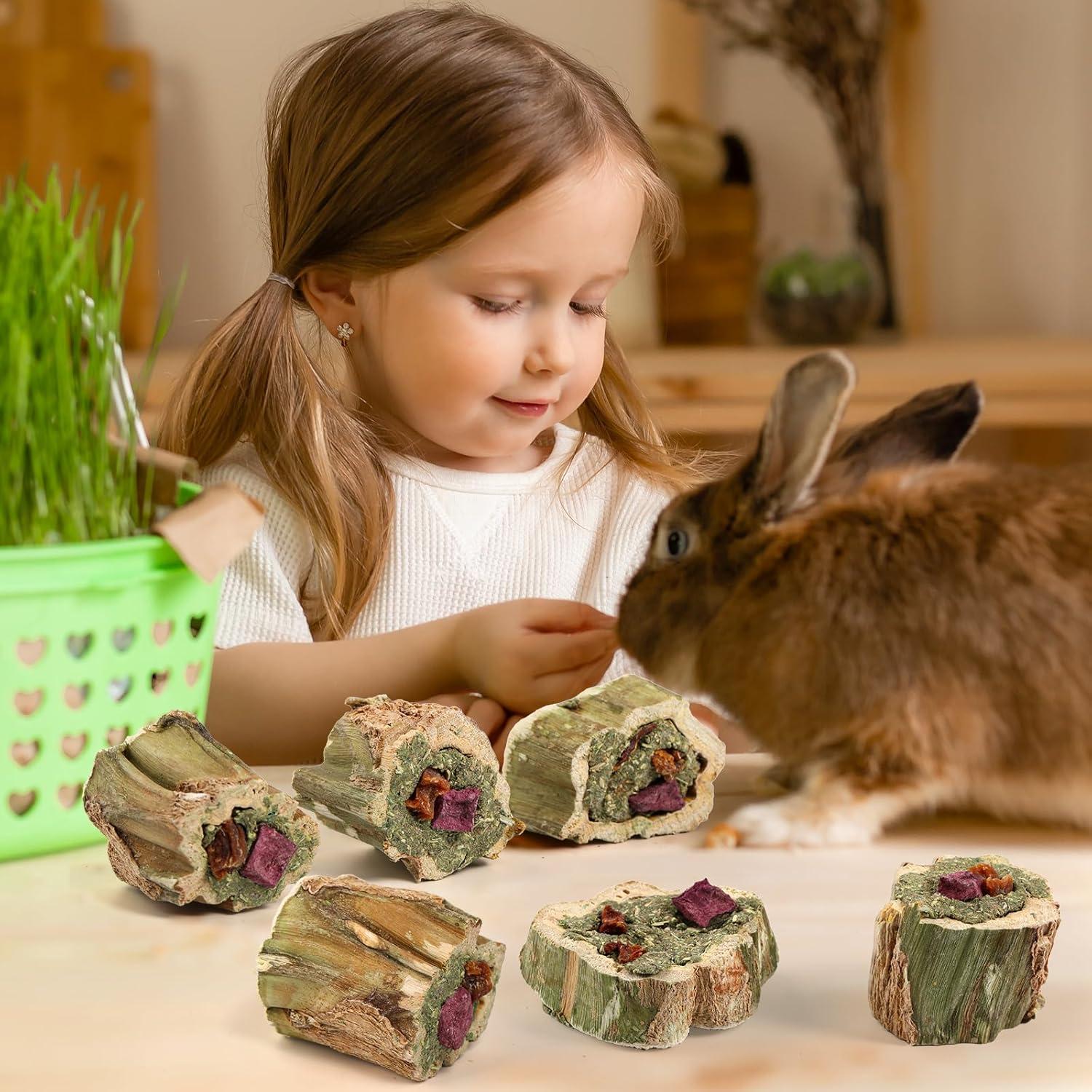 Juguetes de Masticar para Conejos Abizoo 100g con Heno y Verduras
