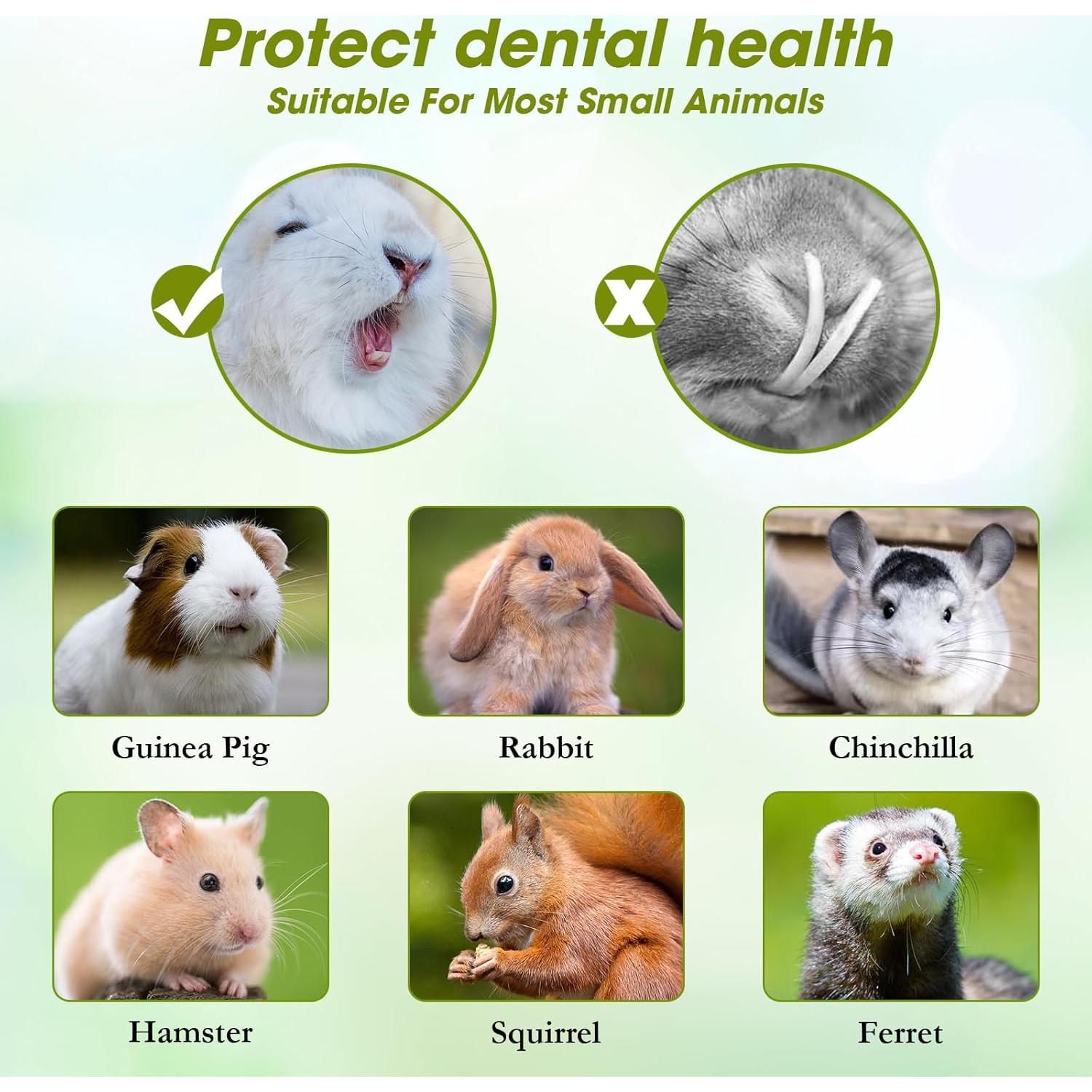 Juguetes de Masticar para Conejos Abizoo 100g con Heno y Verduras