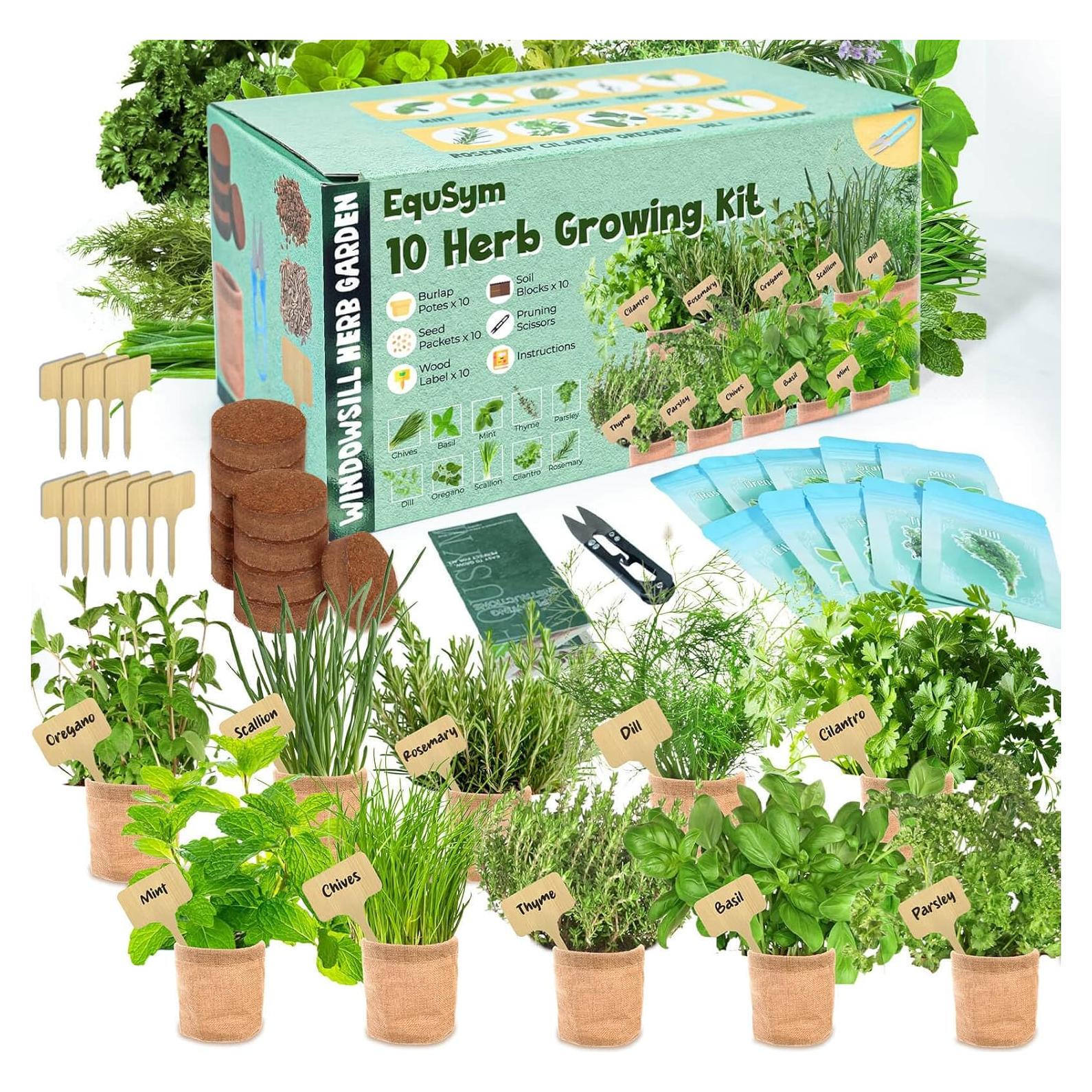 Kit de Jardín de Ventana EquSym - 10 Hierbas Orgánicas para Interior