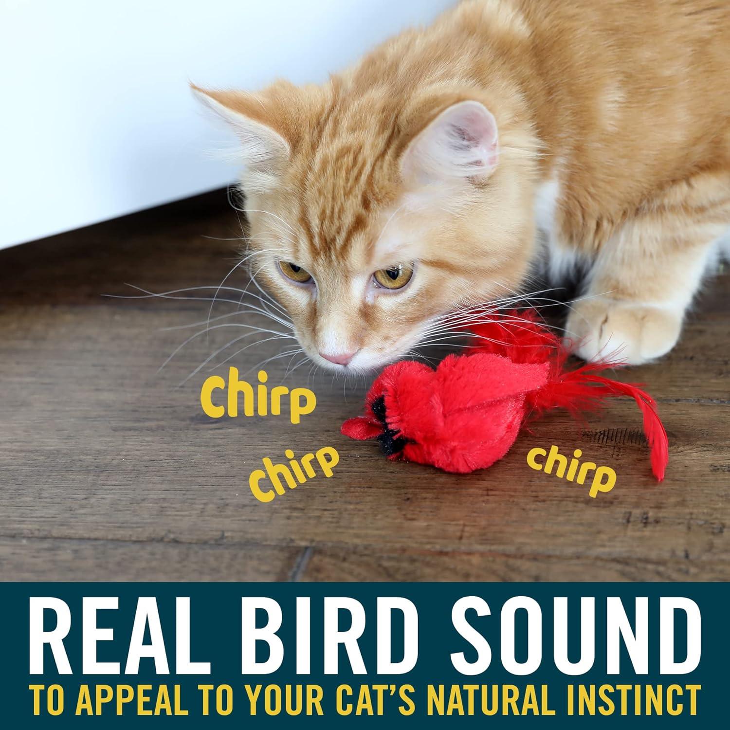 Juguete Interactivo para Gatos OurPets RealBirds con Hierba Gatera
