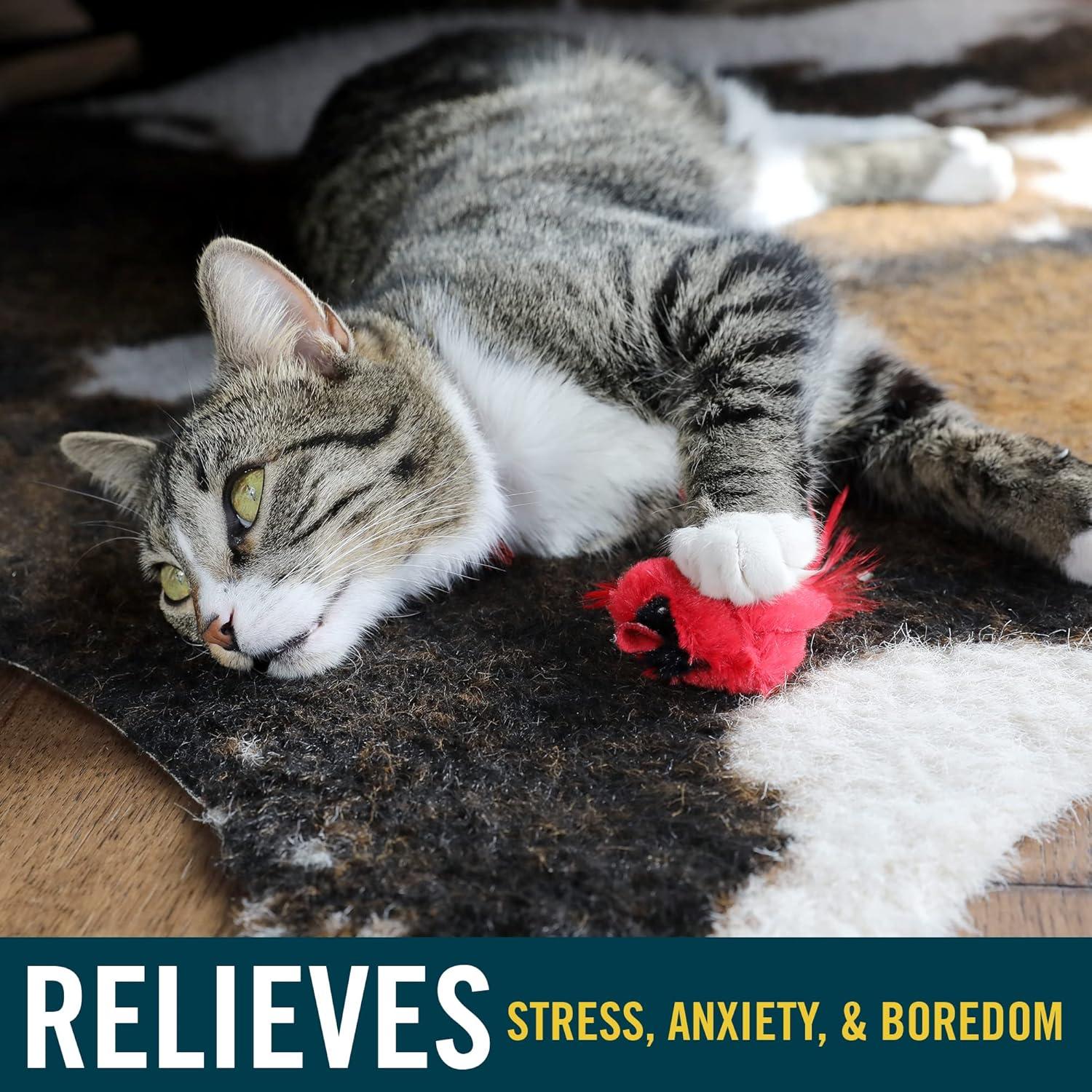 Juguete Interactivo para Gatos OurPets RealBirds con Hierba Gatera