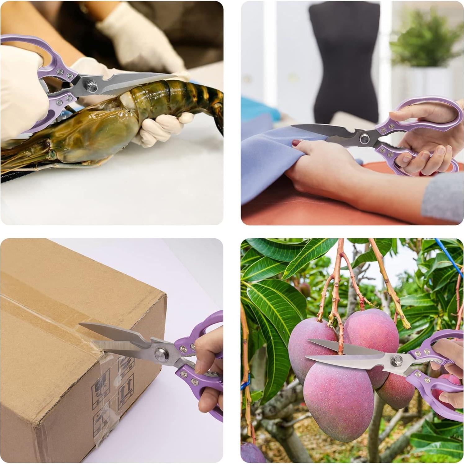 Tijeras de Cocina Multiusos CGBE Acero Inoxidable 26 cm Púrpura