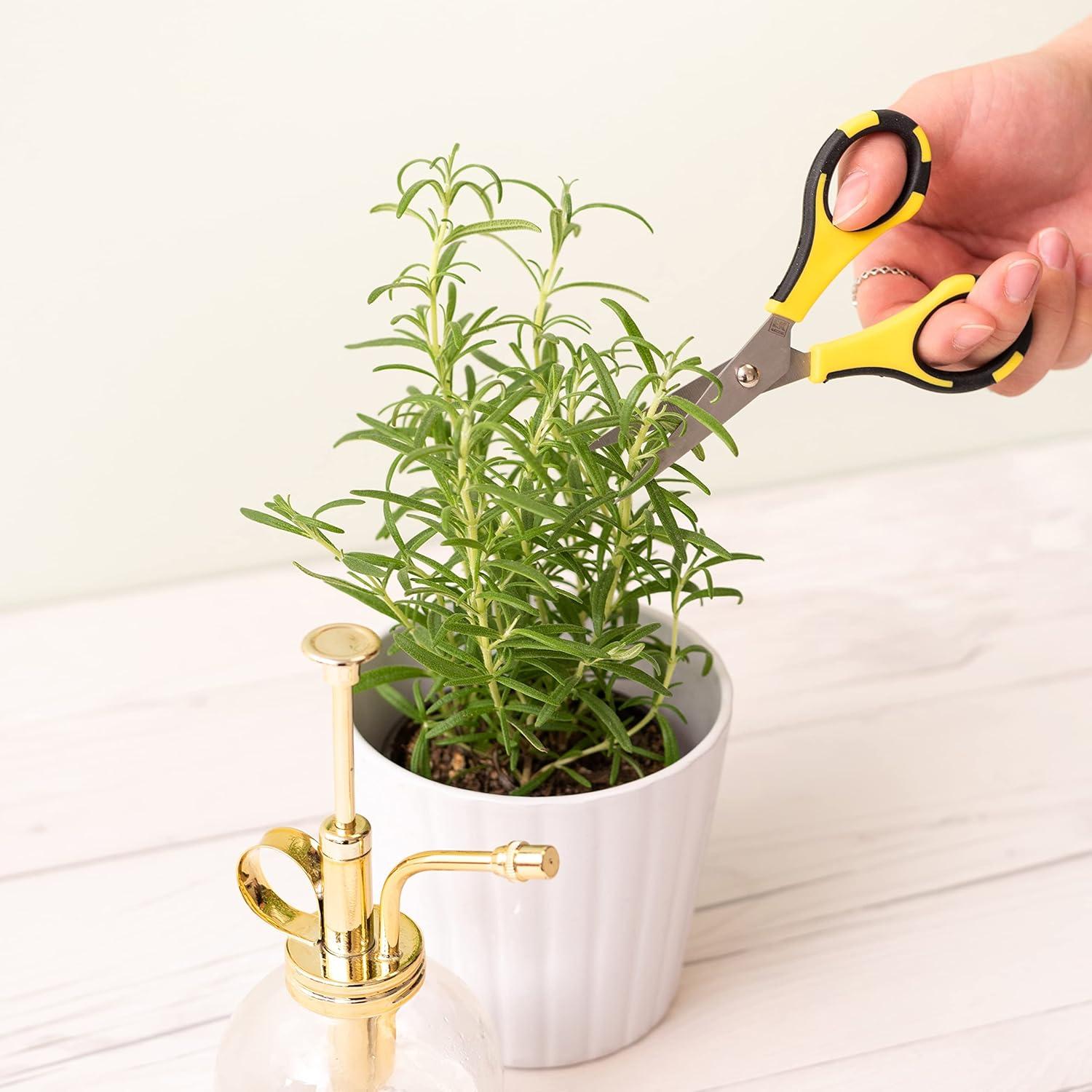 Tijeras de Precisión EK Tools Cutter Bee - Acero Inoxidable