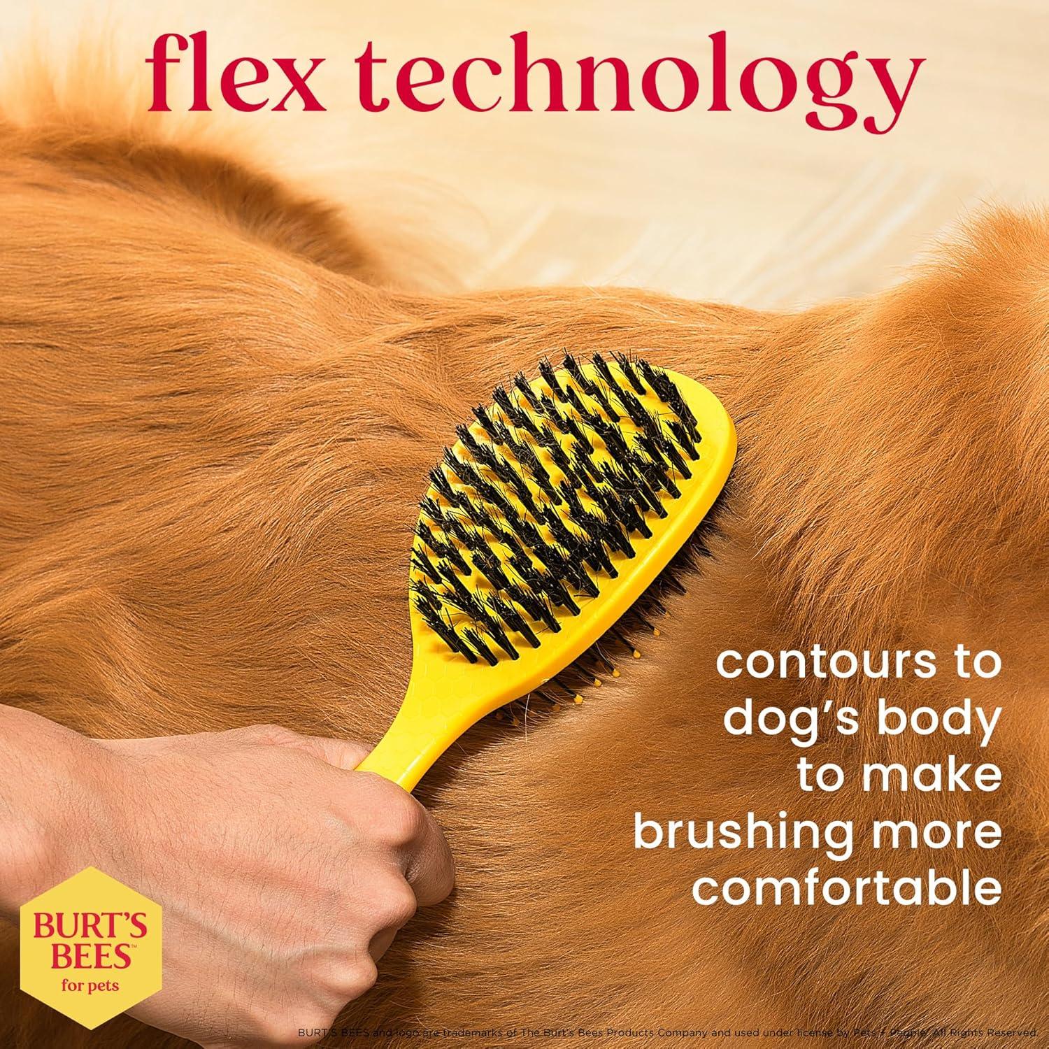 Cepillo Doble Cara Burt's Bees para Perros Grandes 22.86 cm