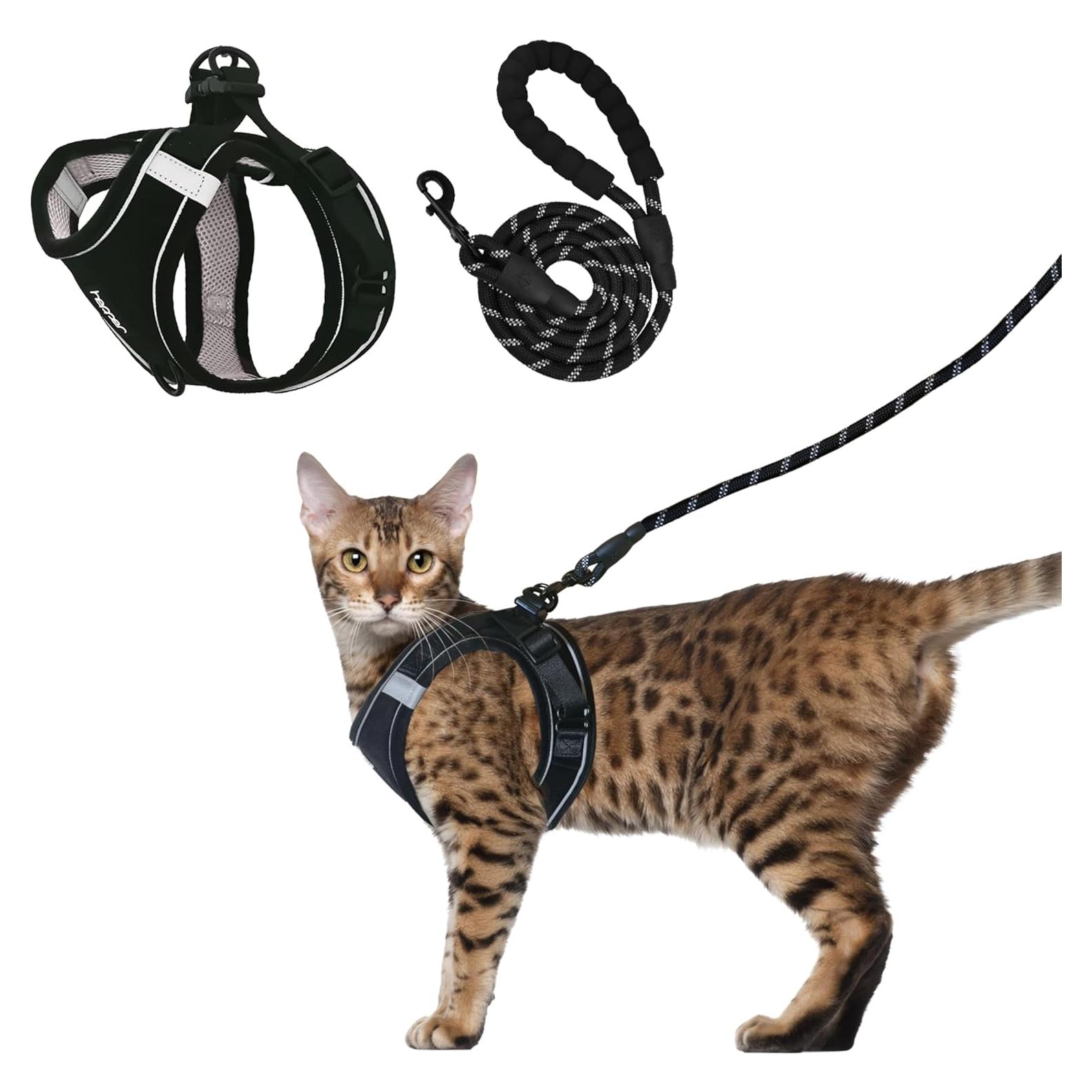 Conjunto Arnés y Correa para Gato Hepper XXS Negro Reflectante
