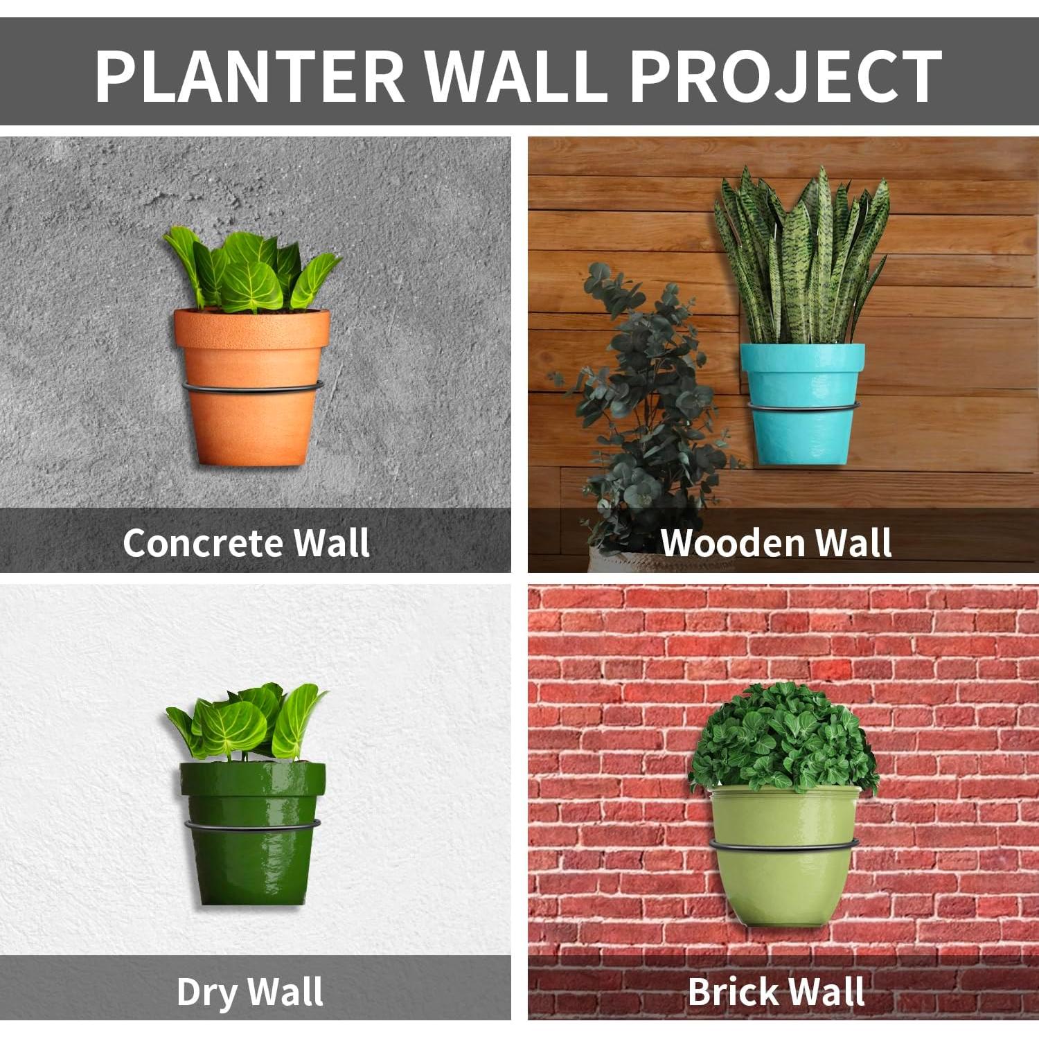 Wall Plant Holder,4 Inch Wall Mounted Plant Holder,Plant Wall Mount,Plant Pot Holder,Wall Planters for Indoor Plants (6 Pack)
