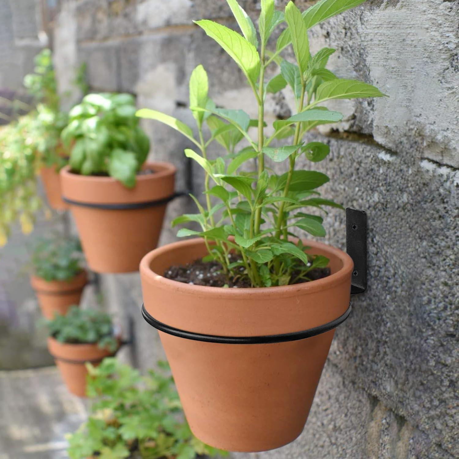 Wall Plant Holder,4 Inch Wall Mounted Plant Holder,Plant Wall Mount,Plant Pot Holder,Wall Planters for Indoor Plants (6 Pack)