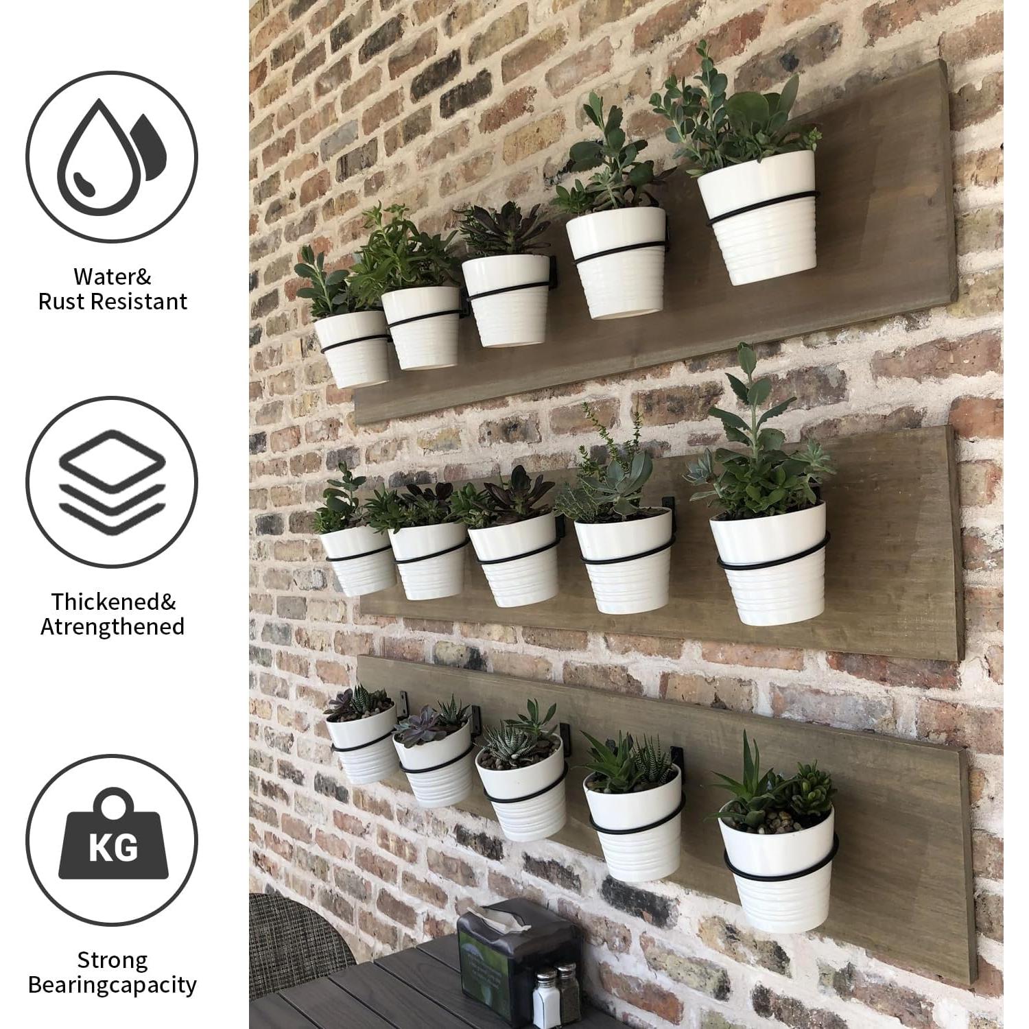 Wall Plant Holder,4 Inch Wall Mounted Plant Holder,Plant Wall Mount,Plant Pot Holder,Wall Planters for Indoor Plants (6 Pack)