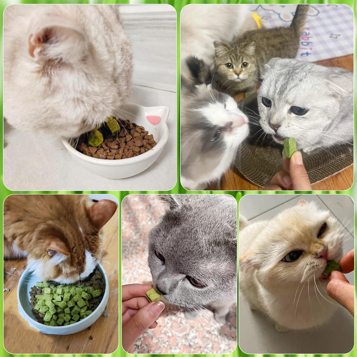 Golosinas de Hierba para Gatos HavenJanny 60g - Salud Oral