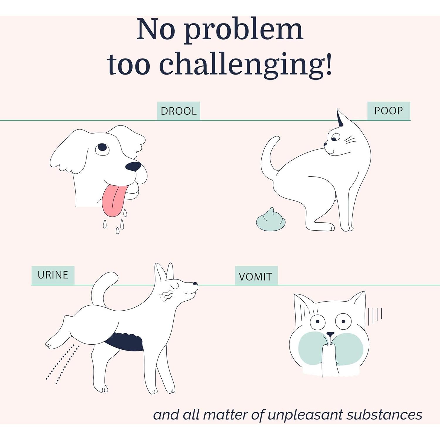 Hepper Eliminador de Manchas y Olores Bioenzimas 0.95L